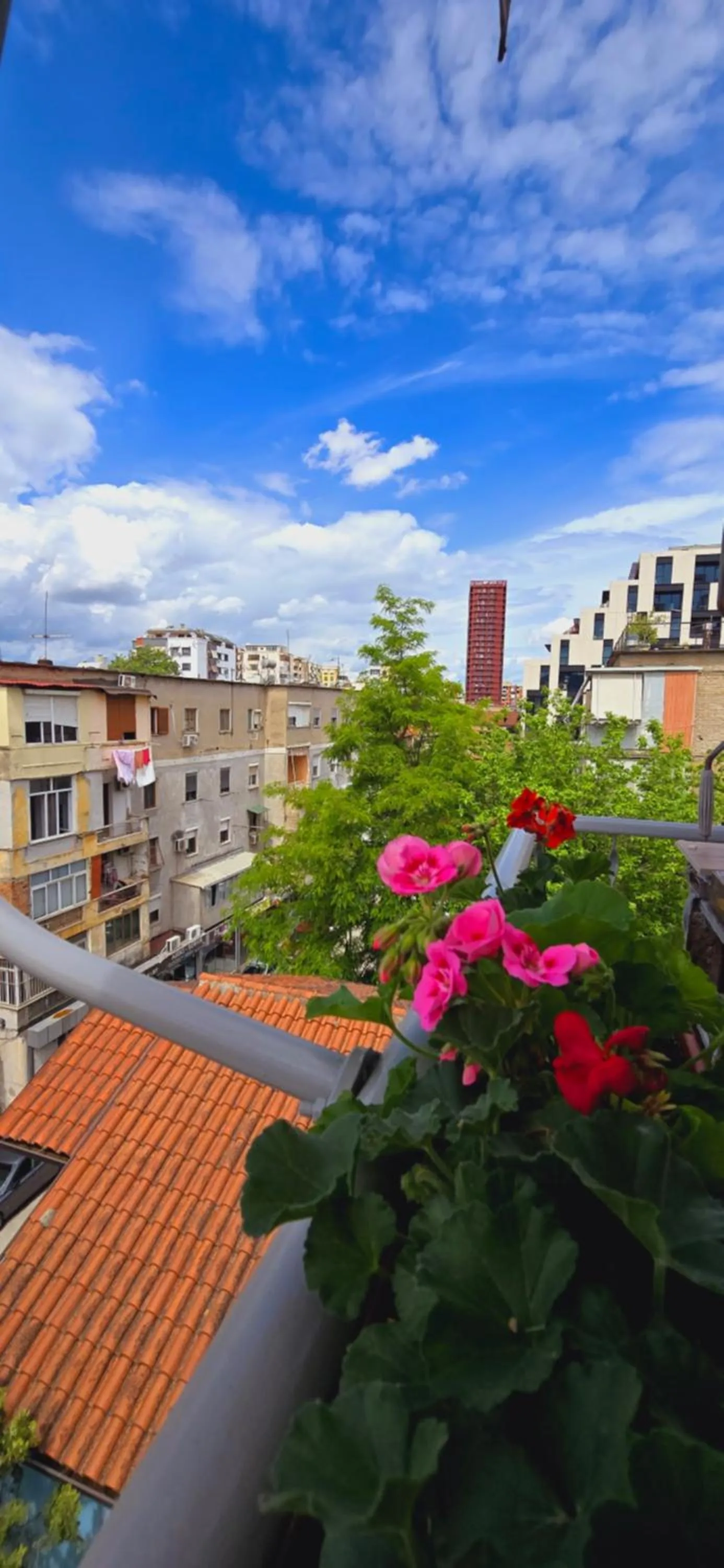 View (from property/room) in Arkle Apartments 2