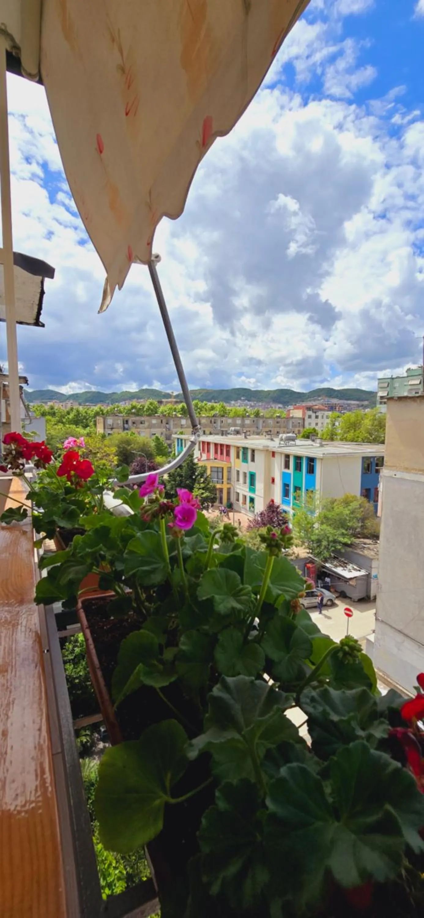 Day in Arkle Apartments 2