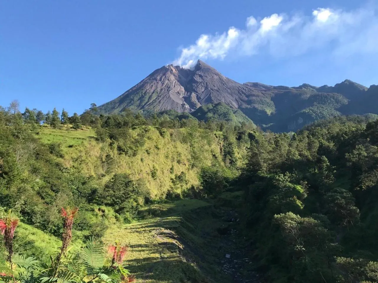 Nearby landmark in Rumah Kalpataru