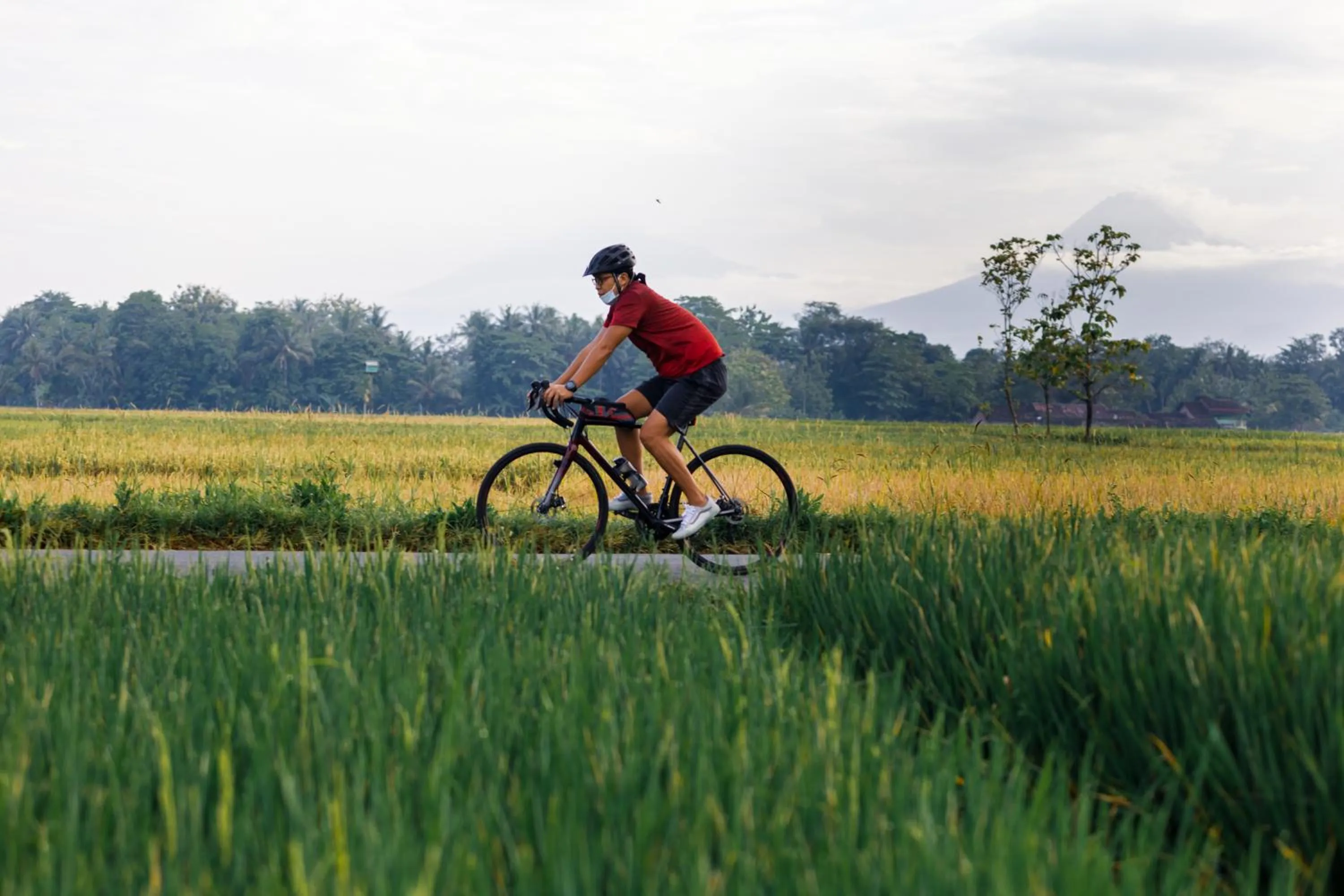 Sports in Rumah Kalpataru