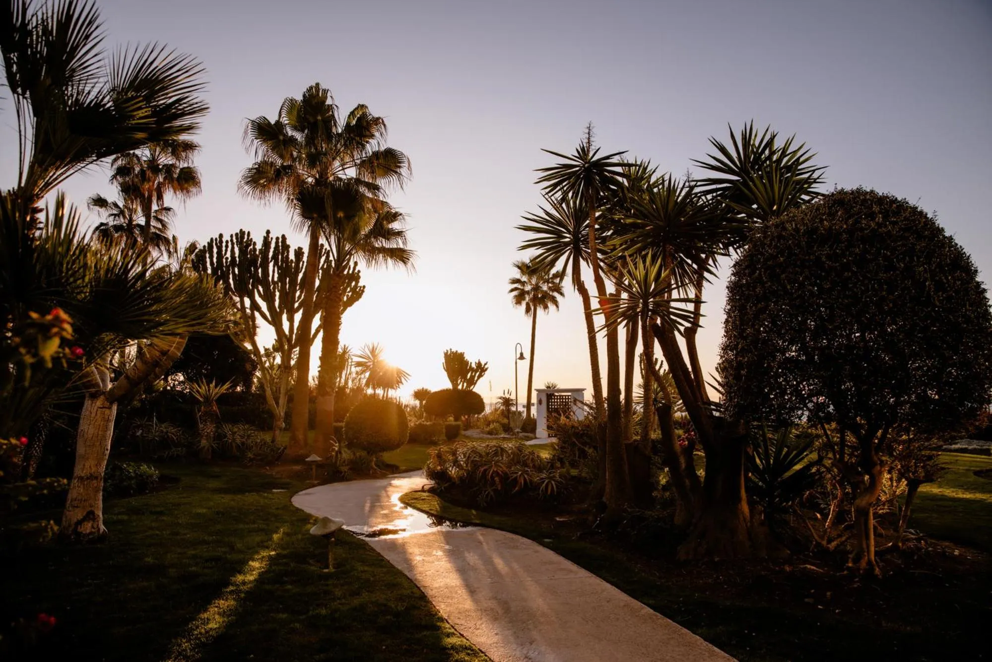 Neighbourhood in THE FLAG HOTEL Marbella, Estepona Adult Recommended