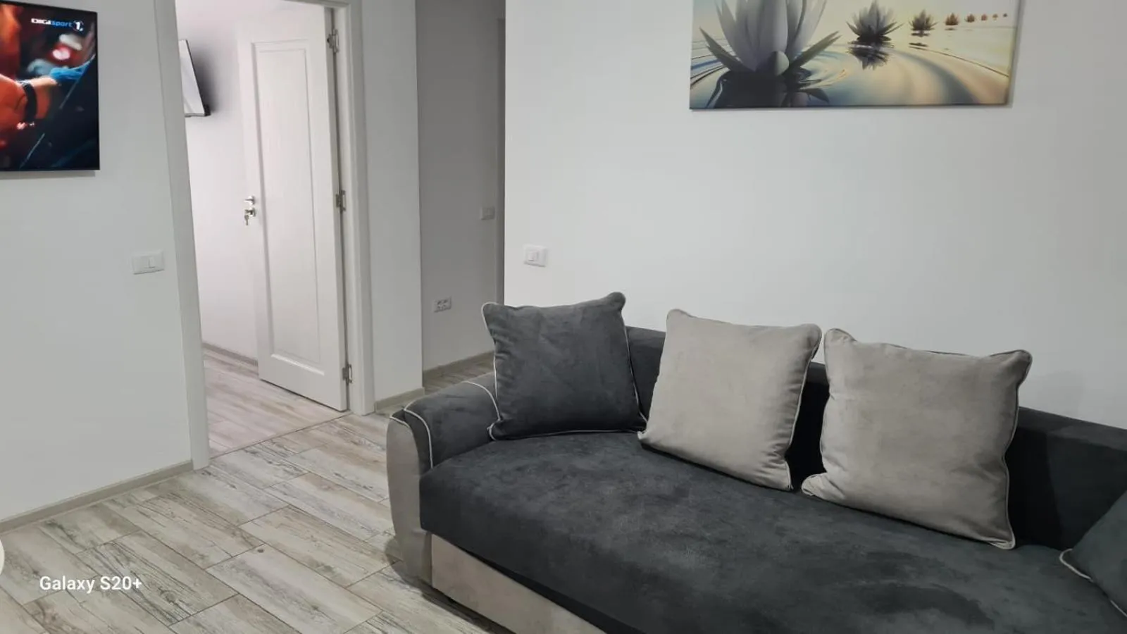 Apartament David