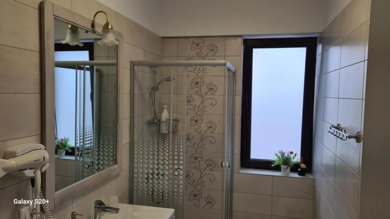 Apartament David