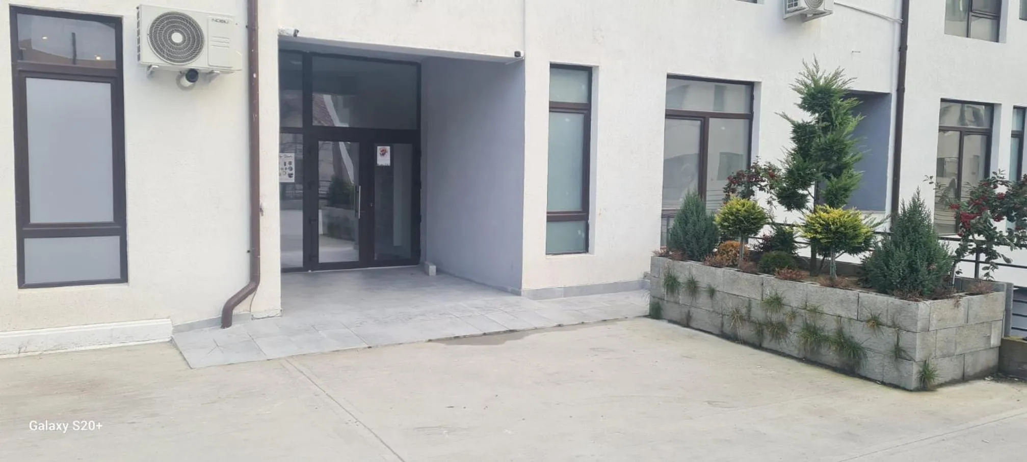 Apartament David