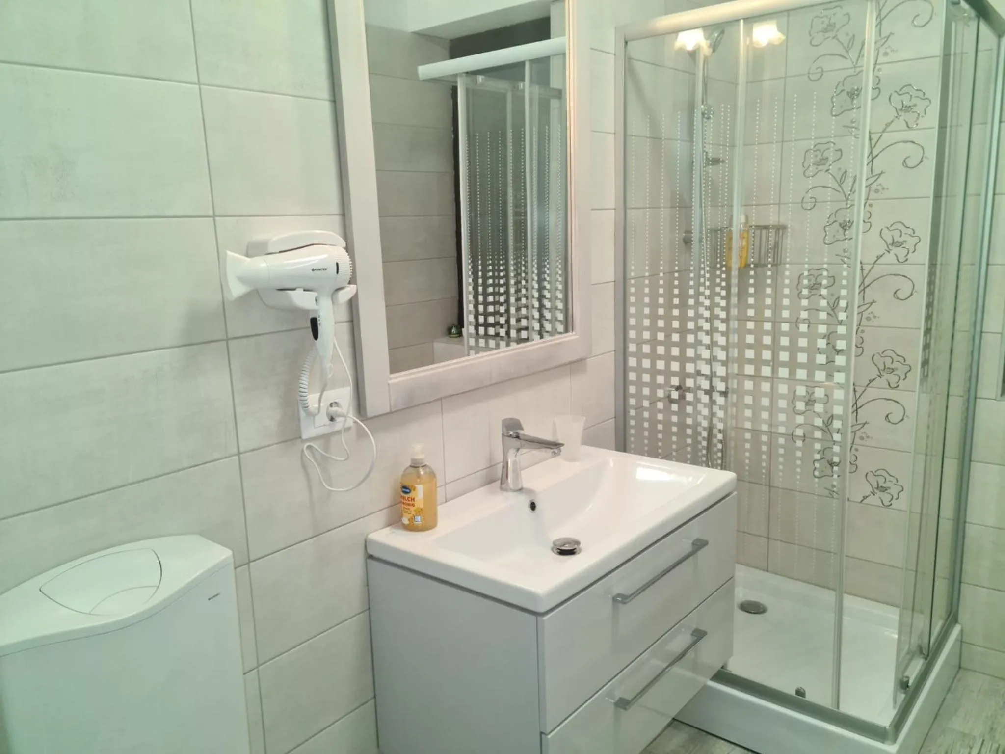 Apartament David