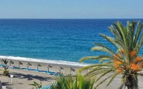 Sol Los Fenicios Sol Los Fenicios