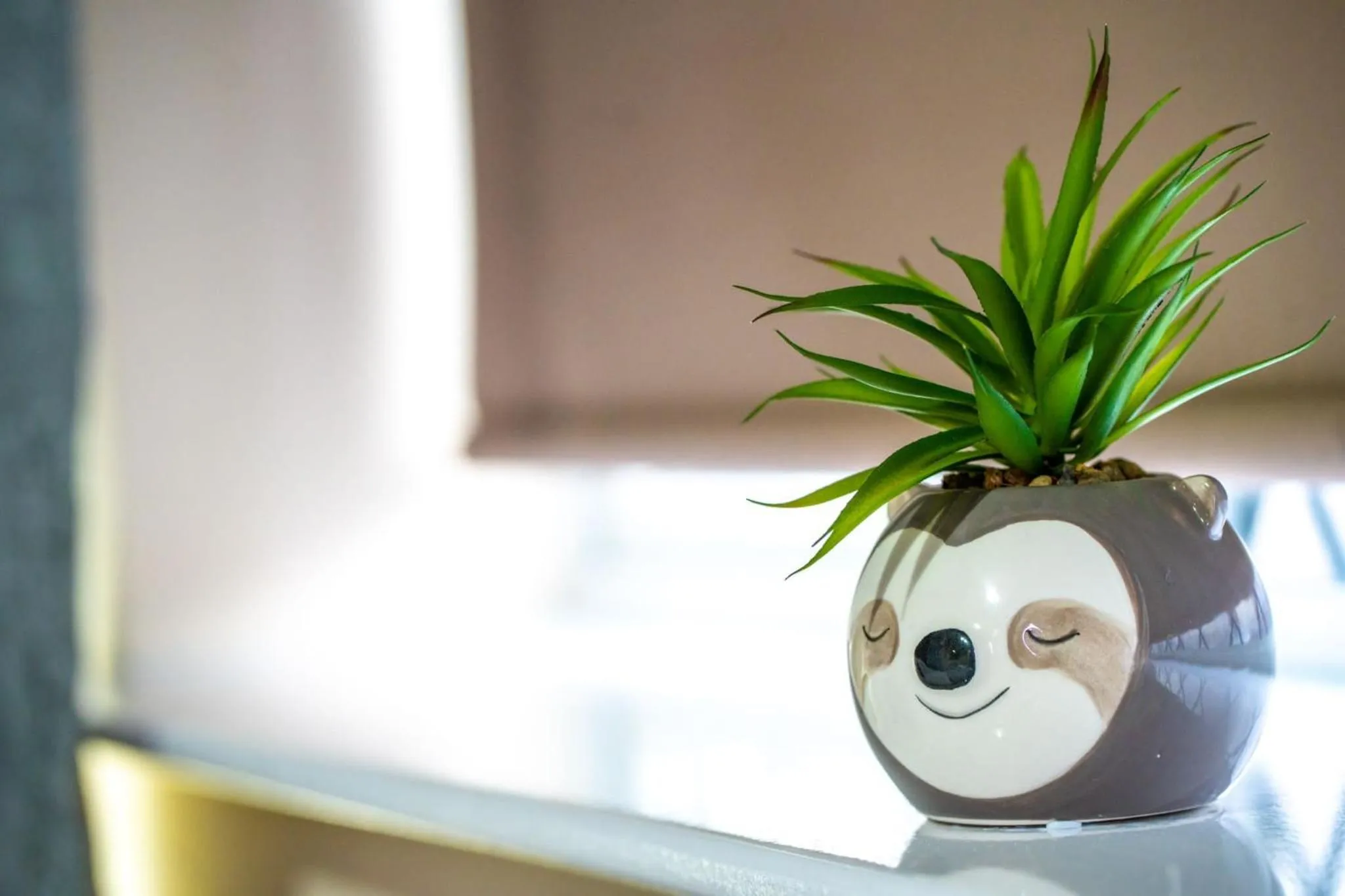 Other in Baxter House