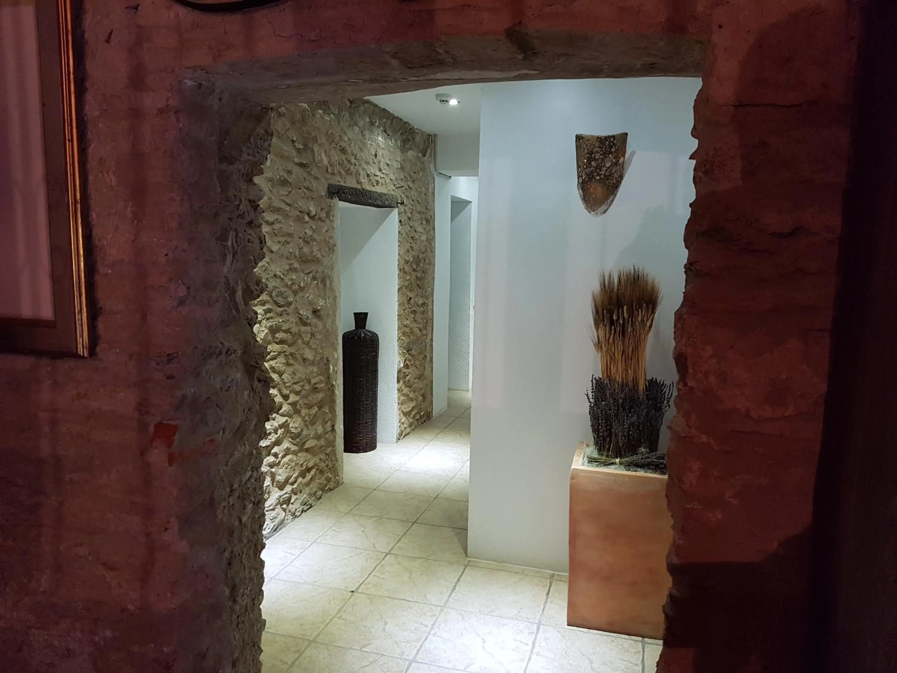 Lounge or bar in Hotel Mas Palou