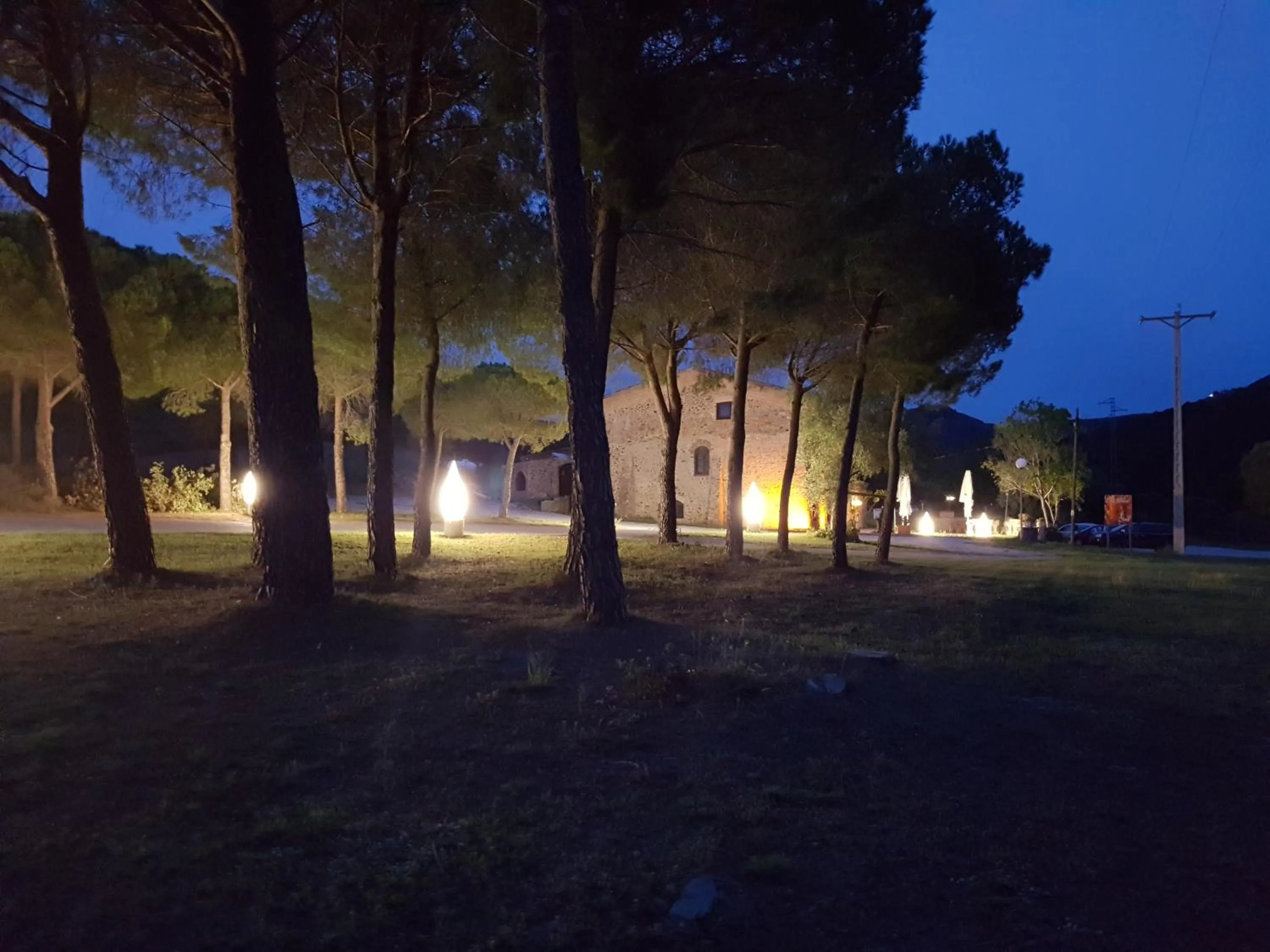 Lounge or bar in Hotel Mas Palou