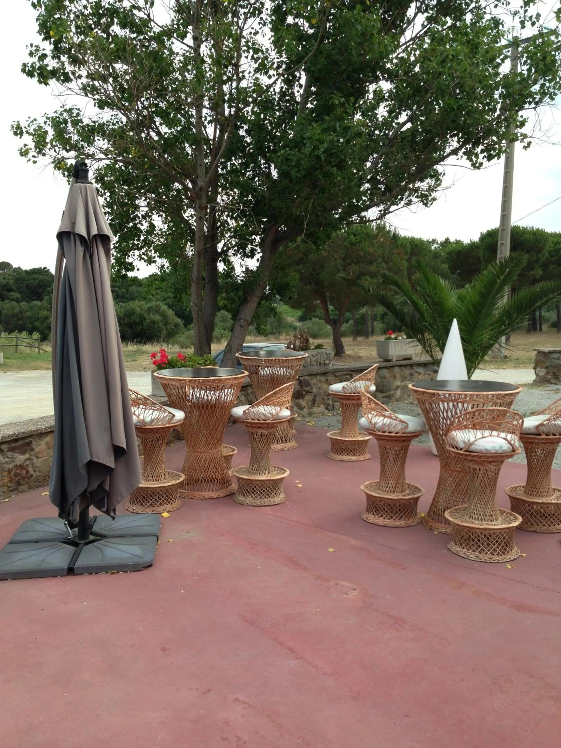 Balcony/Terrace in Hotel Mas Palou