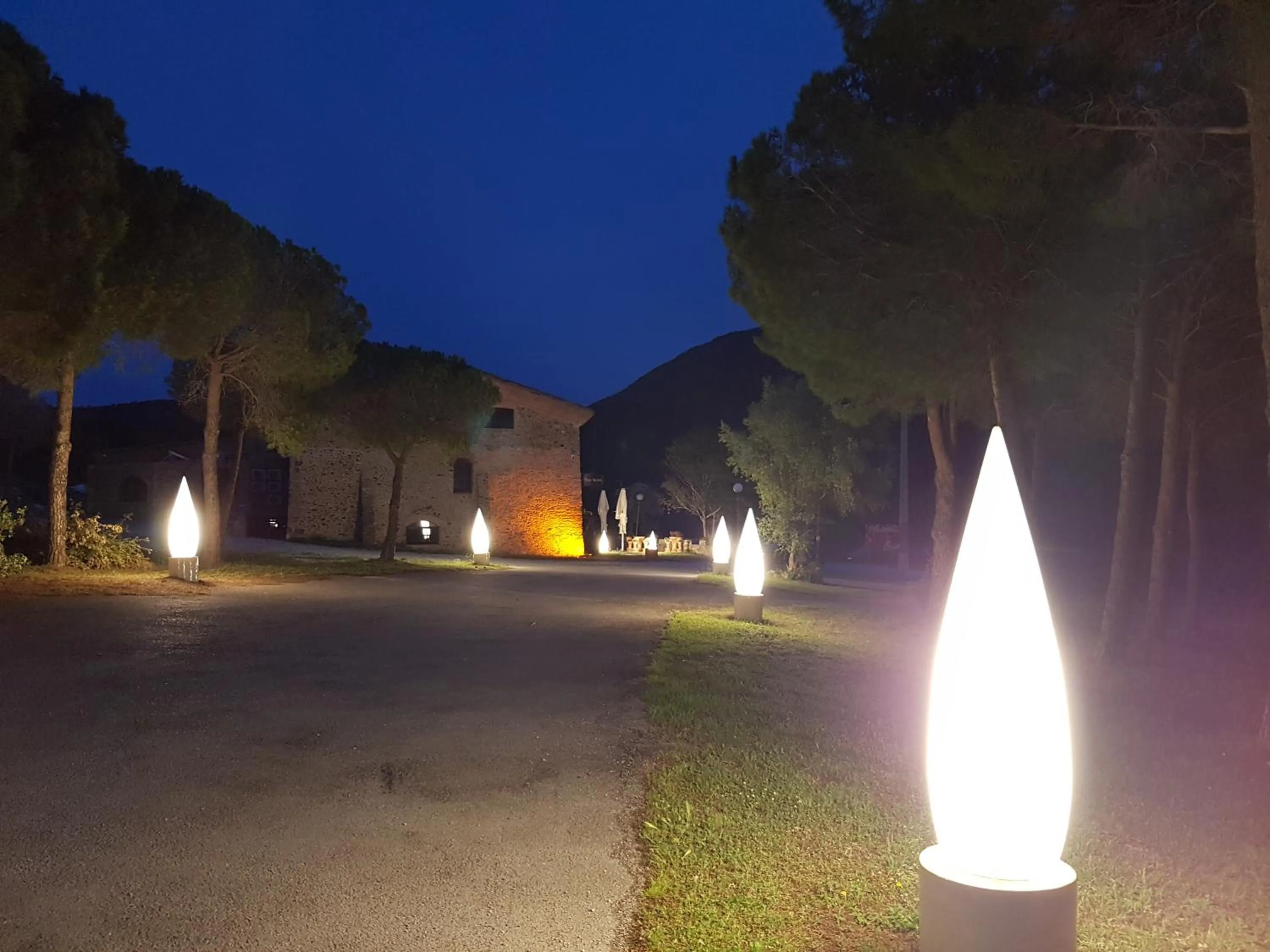 Lounge or bar in Hotel Mas Palou