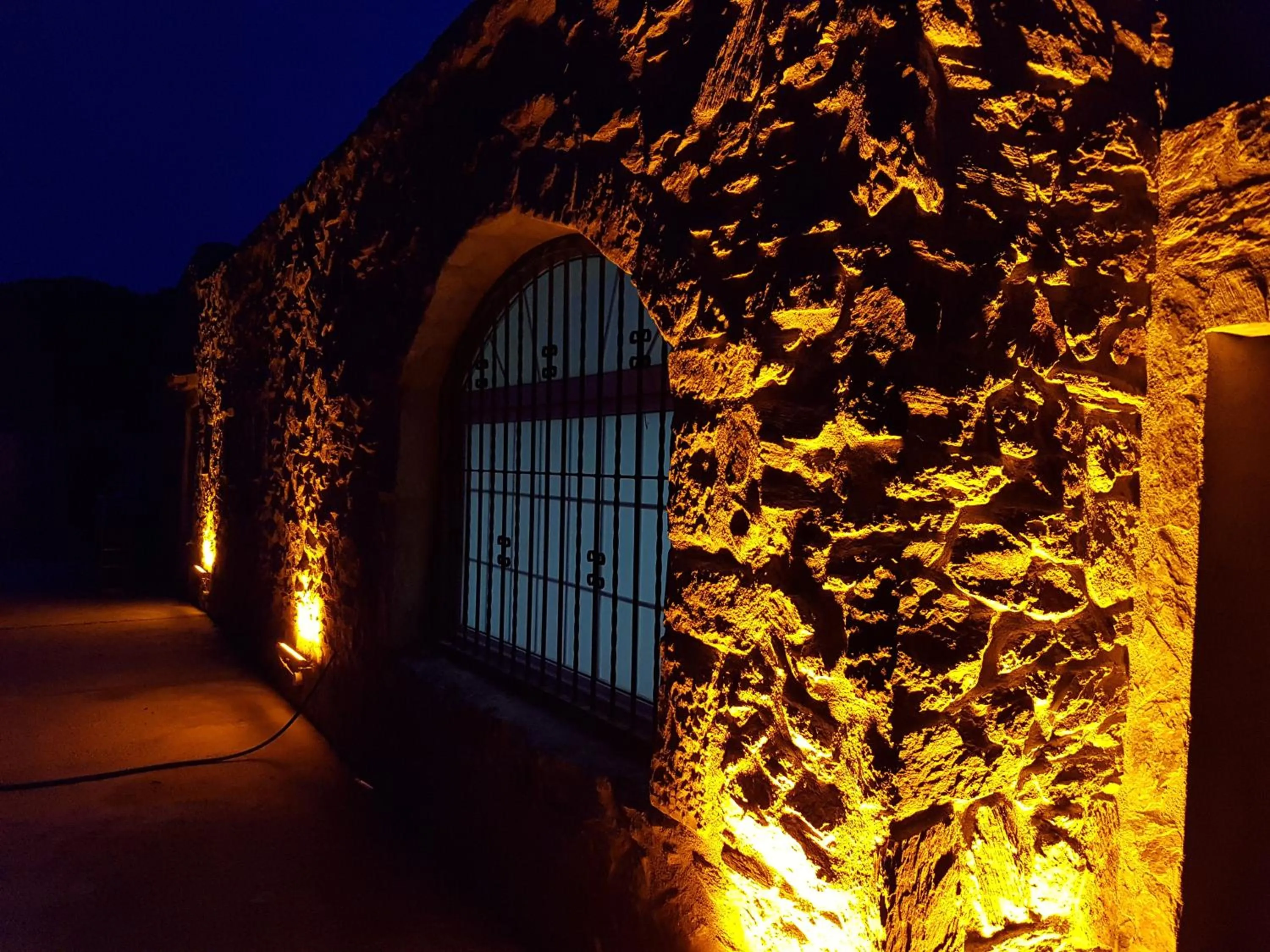 Lounge or bar in Hotel Mas Palou