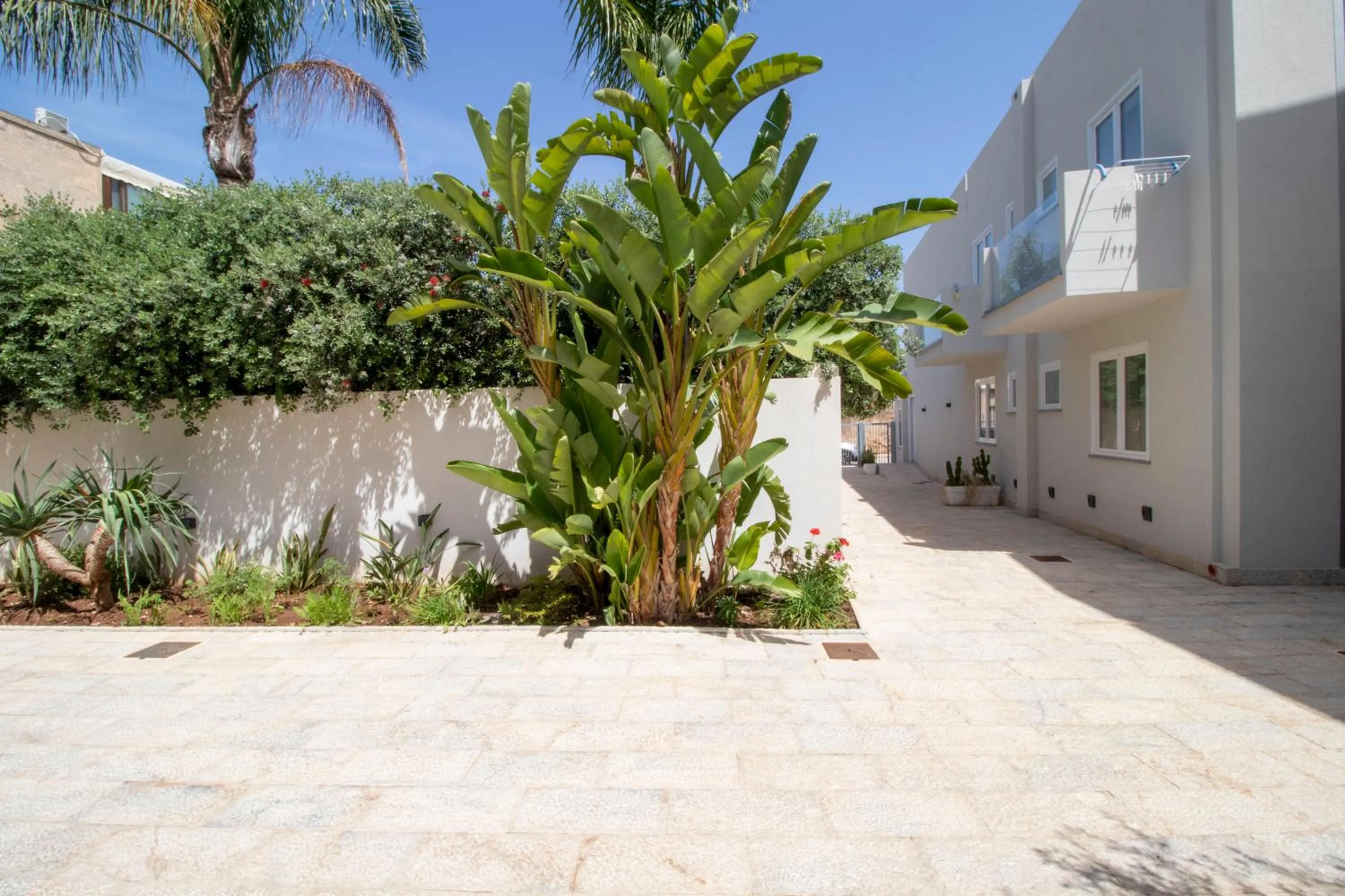 Property building in Hotel Arte Mare