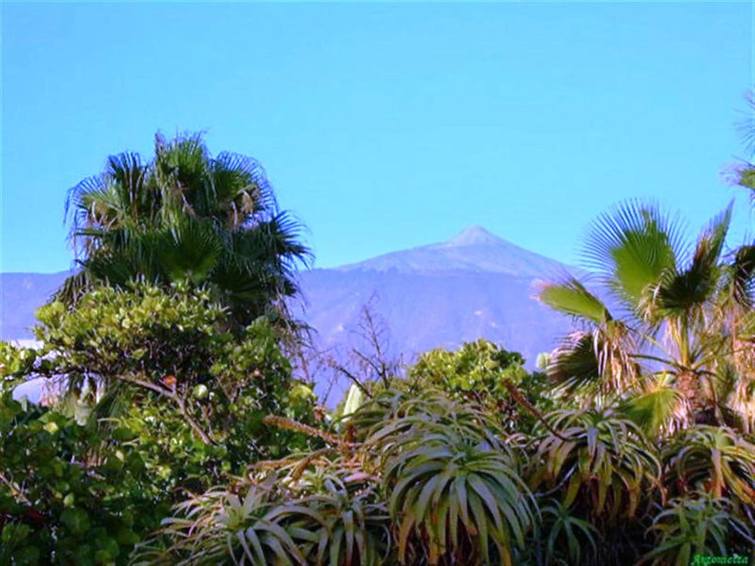 Area and facilities in Apartamentos Alta