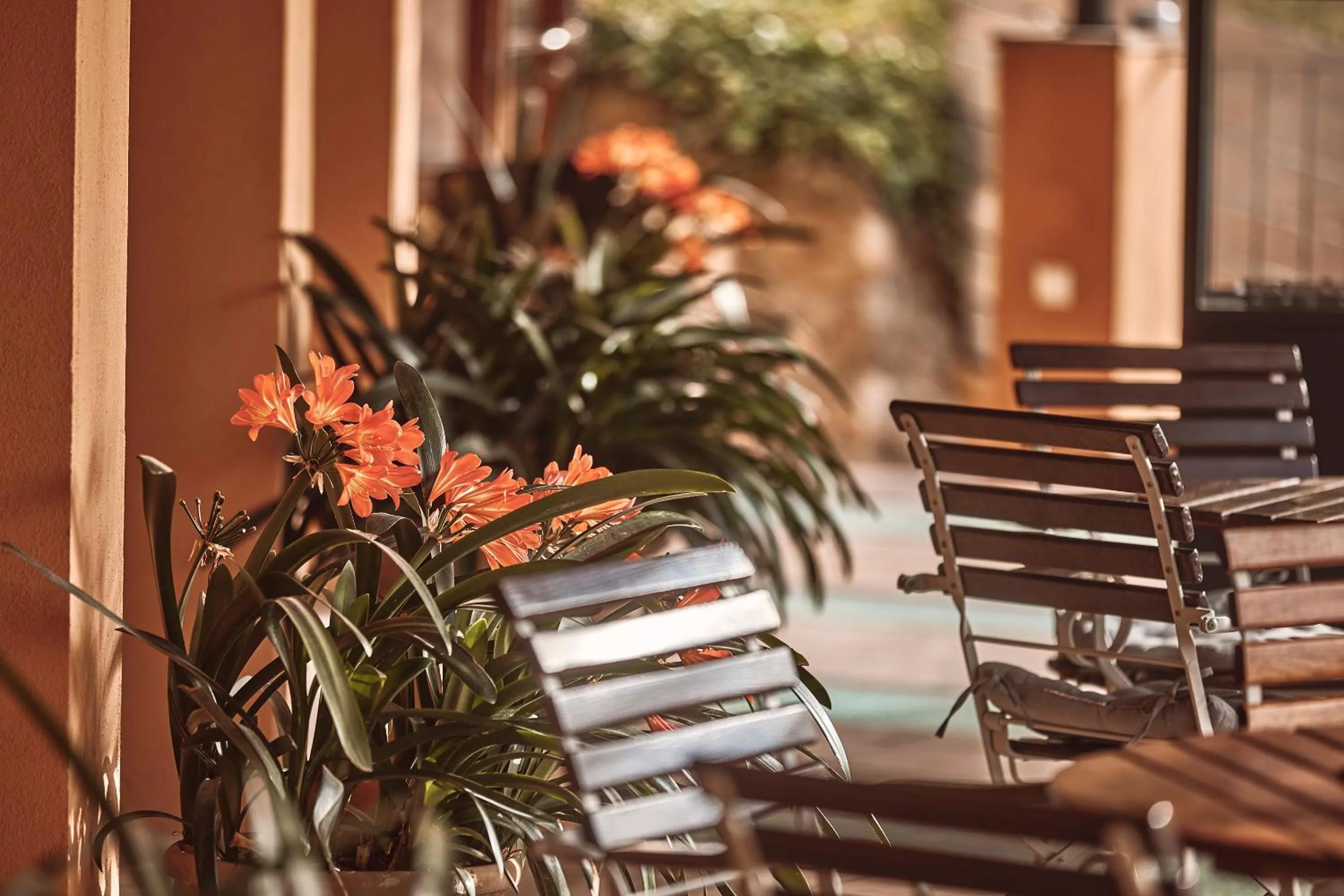 Restaurant/places to eat in Maristel Hotel & Spa - Adults Only