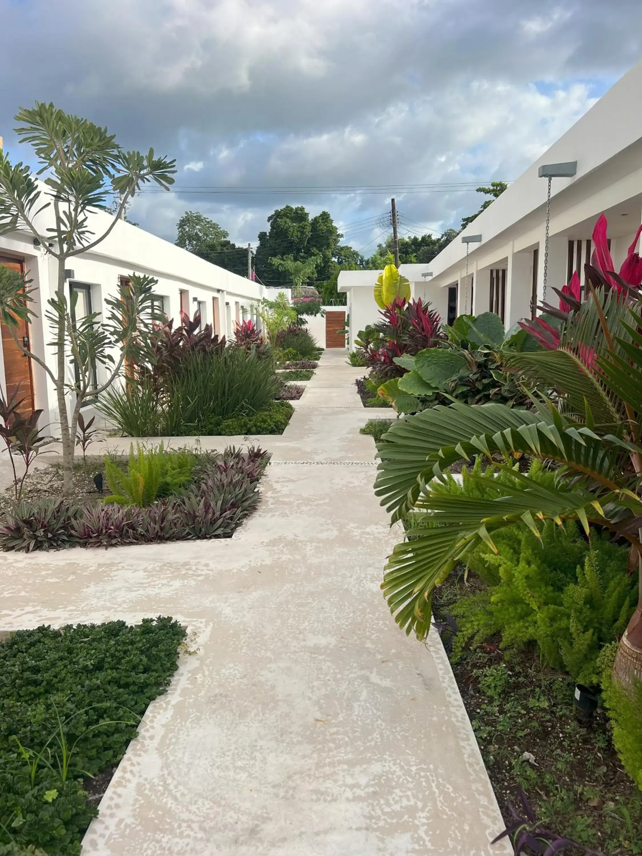 Garden view in Illa Cozumel Garden view in Illa Cozumel