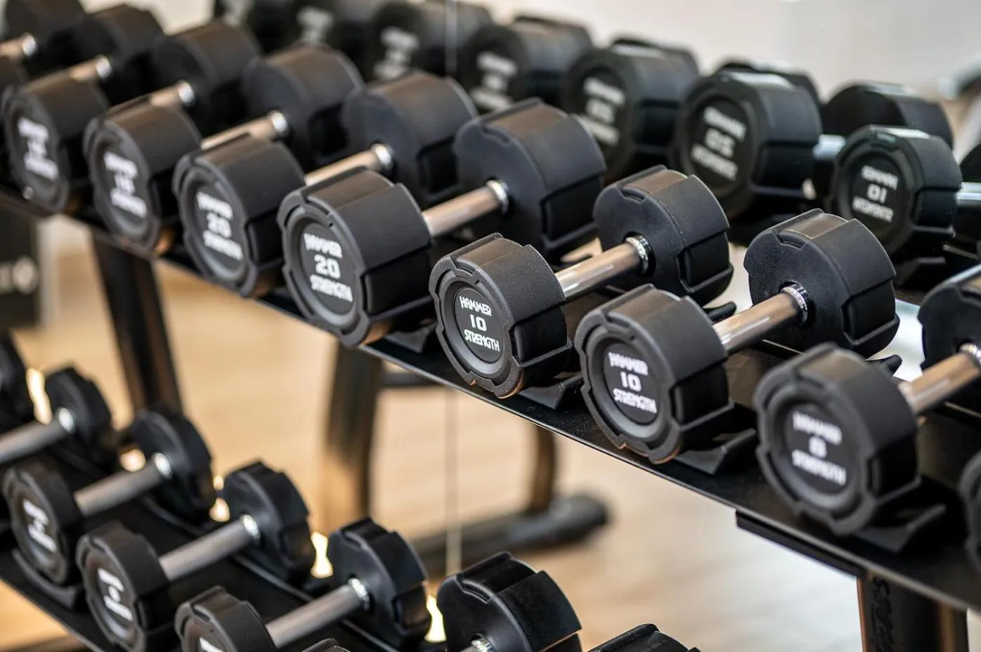 Activities in Port Alicante City & Beach