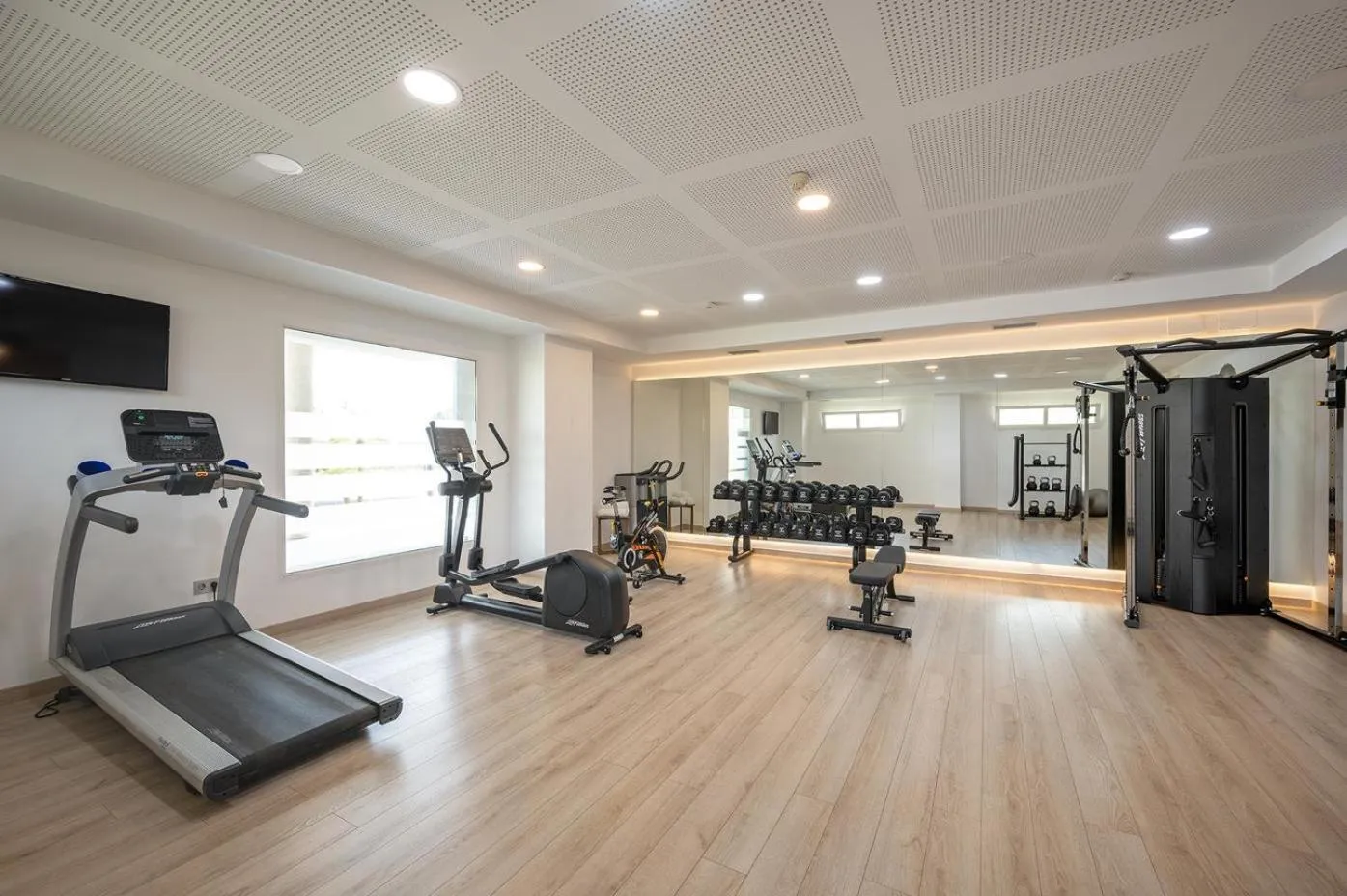 Activities in Port Alicante City & Beach