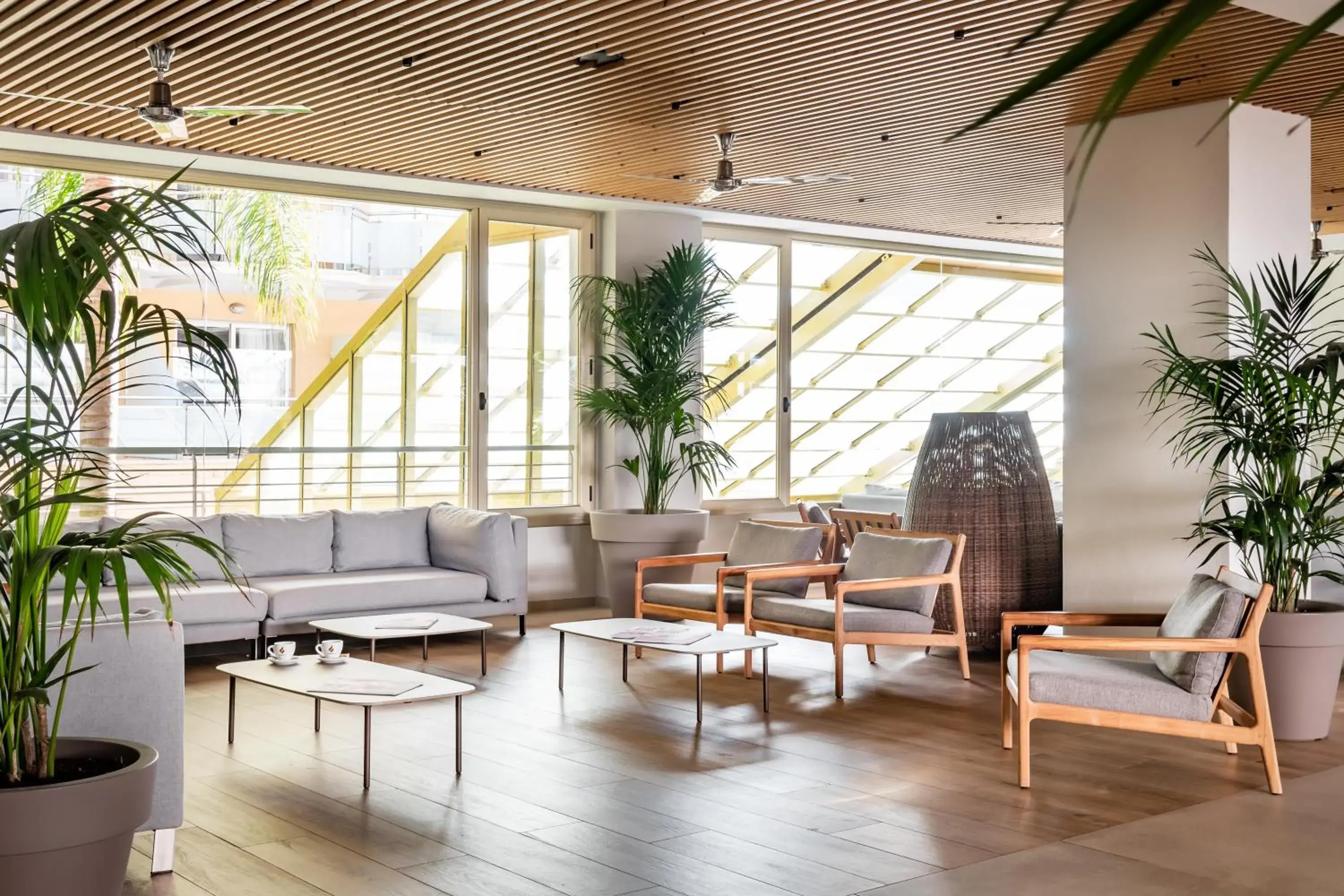 Lobby or reception in ALEGRIA Florida Lobby or reception in ALEGRIA Florida