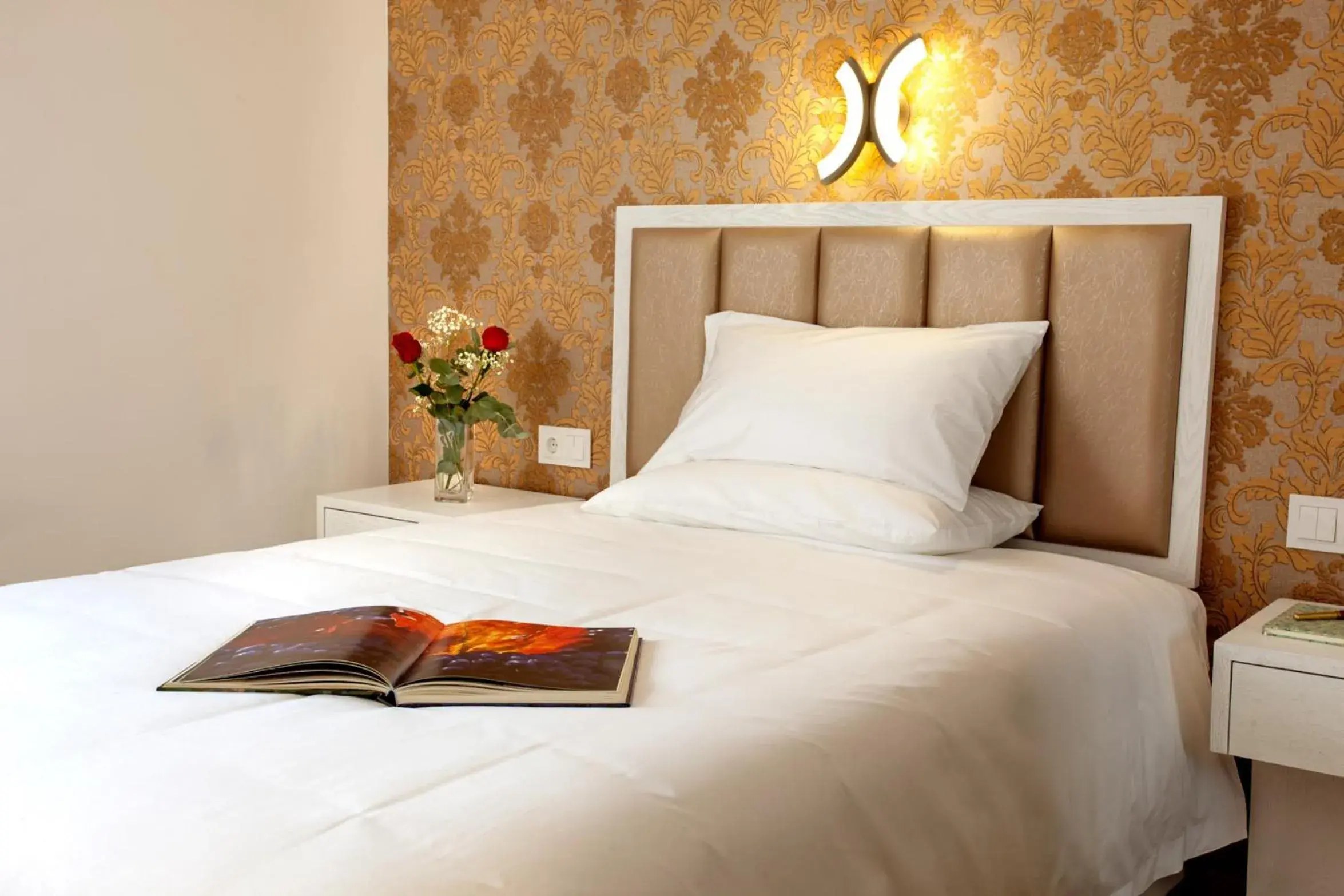 Single Room in Hotel Insula Barataria Single Room in Hotel Insula Barataria