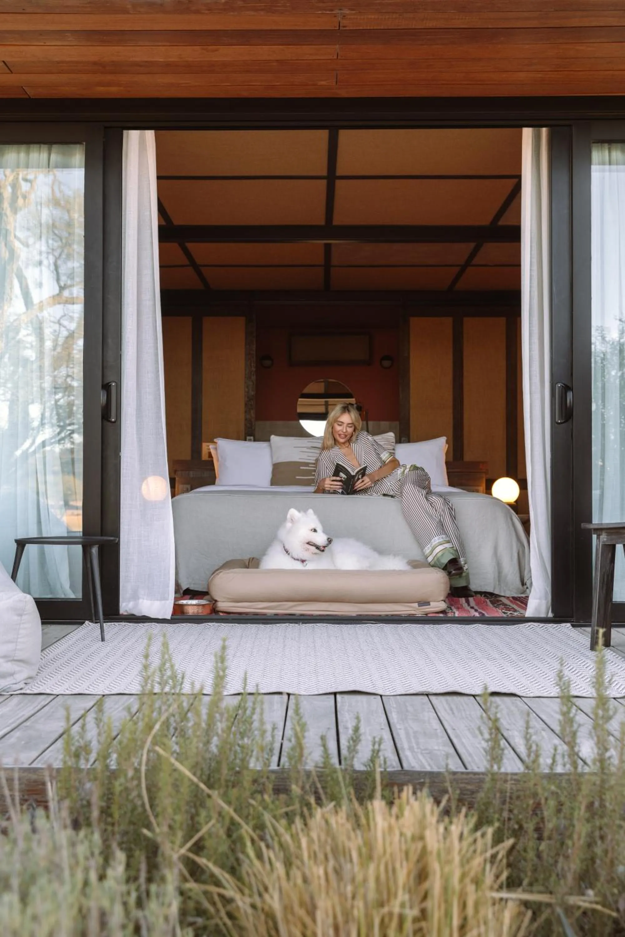 Pets, Bed in Our Habitas San Miguel de Allende