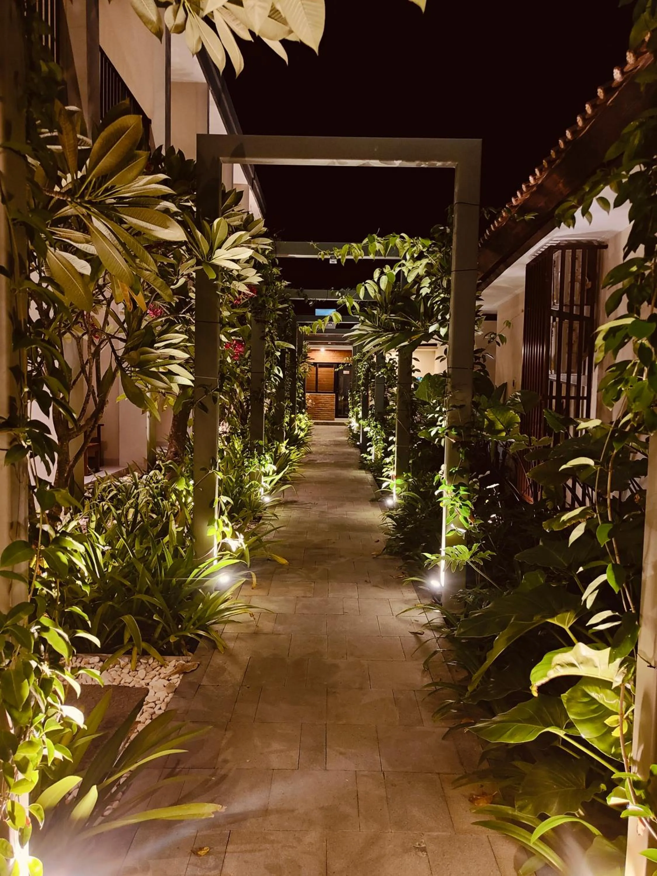 Night in Rabasta Enjoy Kuta