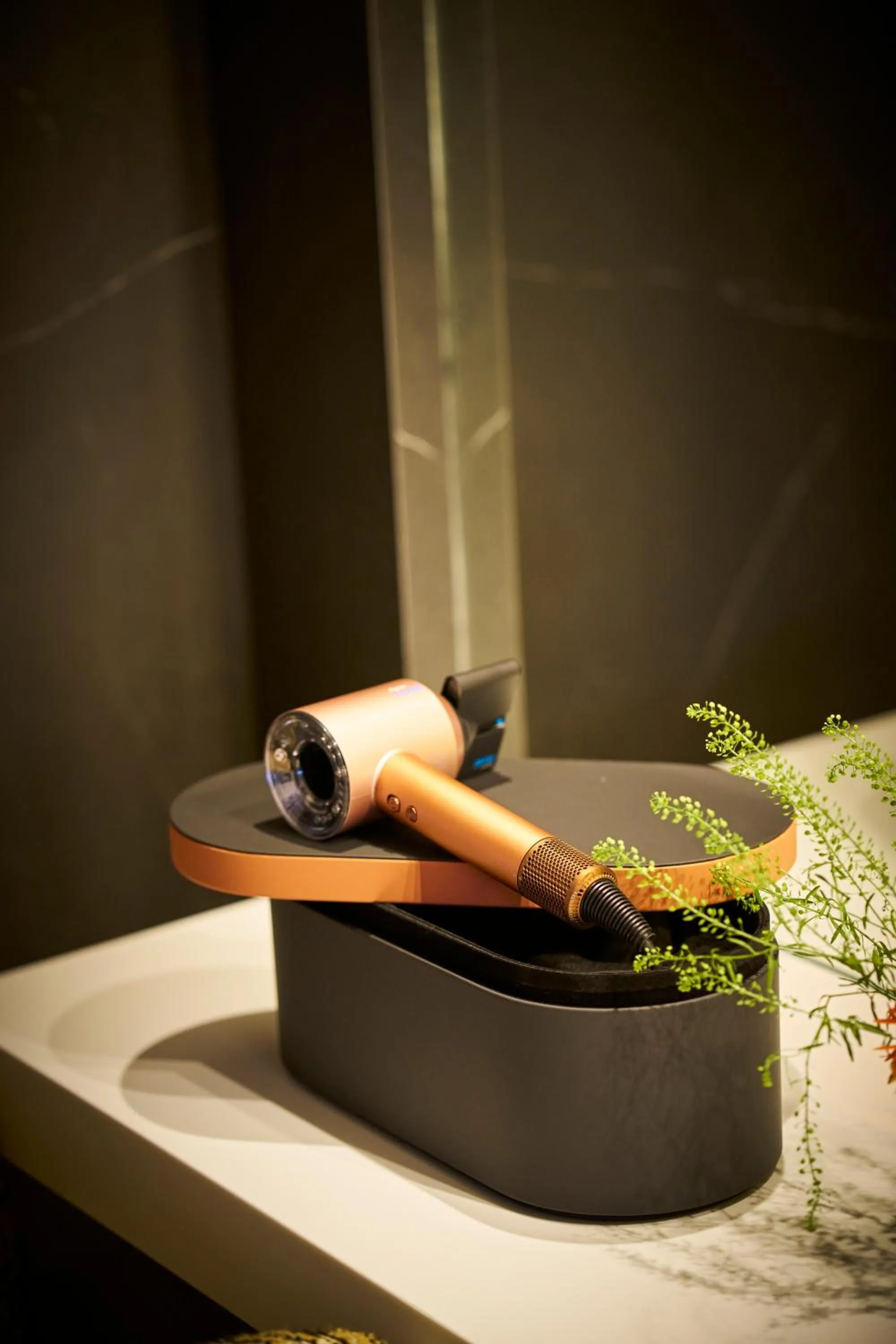 hair dryier in Hotel Regina