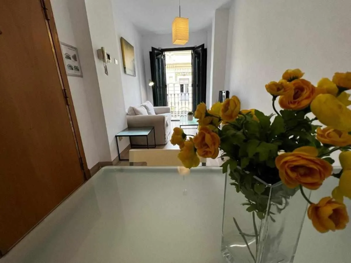 Apartamento Pastor y Landero by Sleep&Olé!