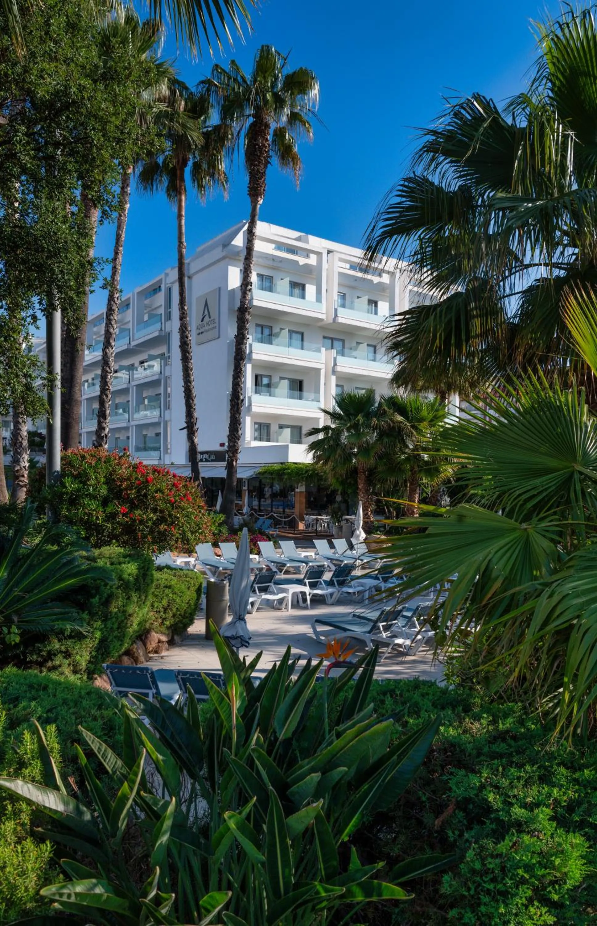 Garden in AQUA Hotel Aquamarina & Spa
