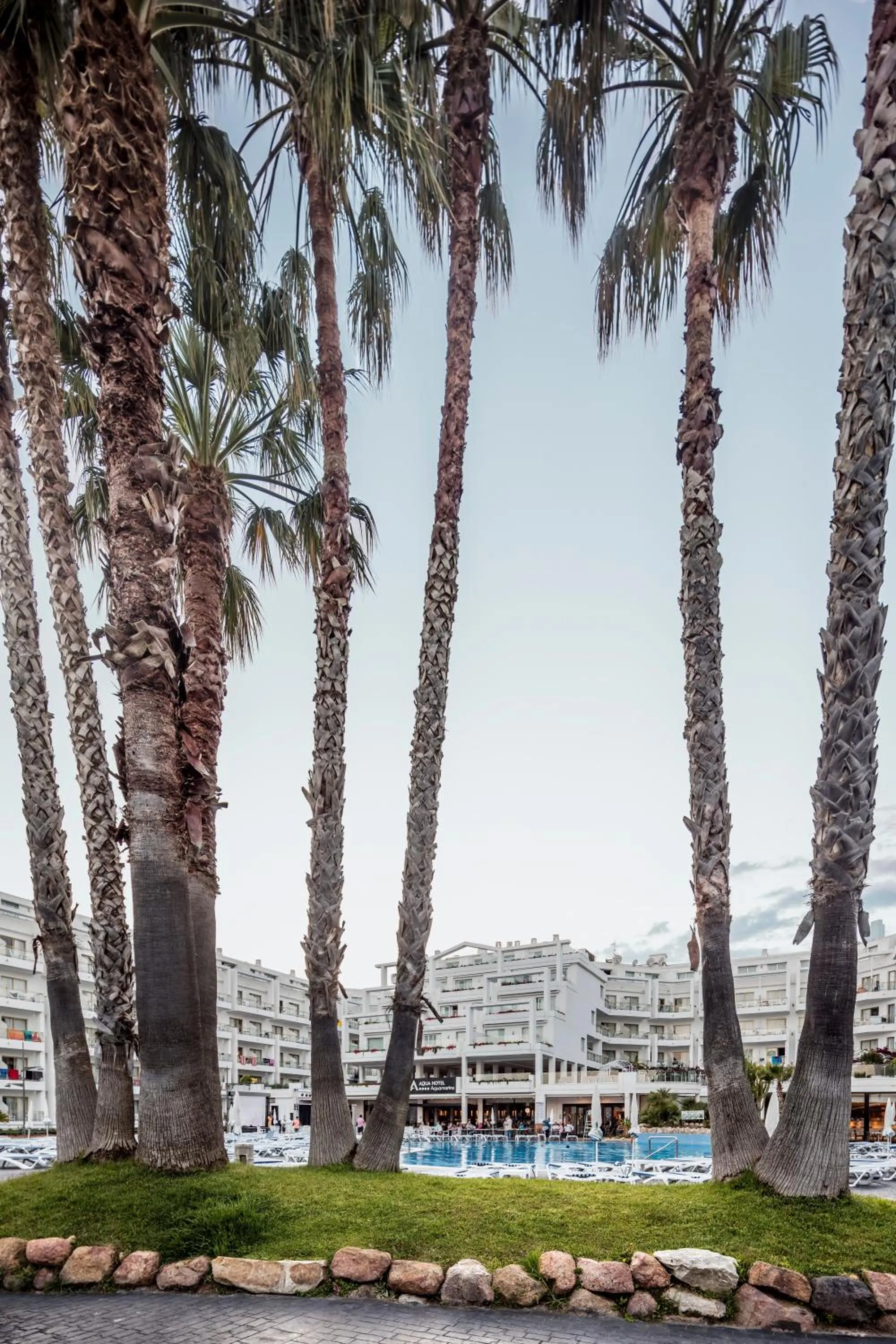 Garden in AQUA Hotel Aquamarina & Spa