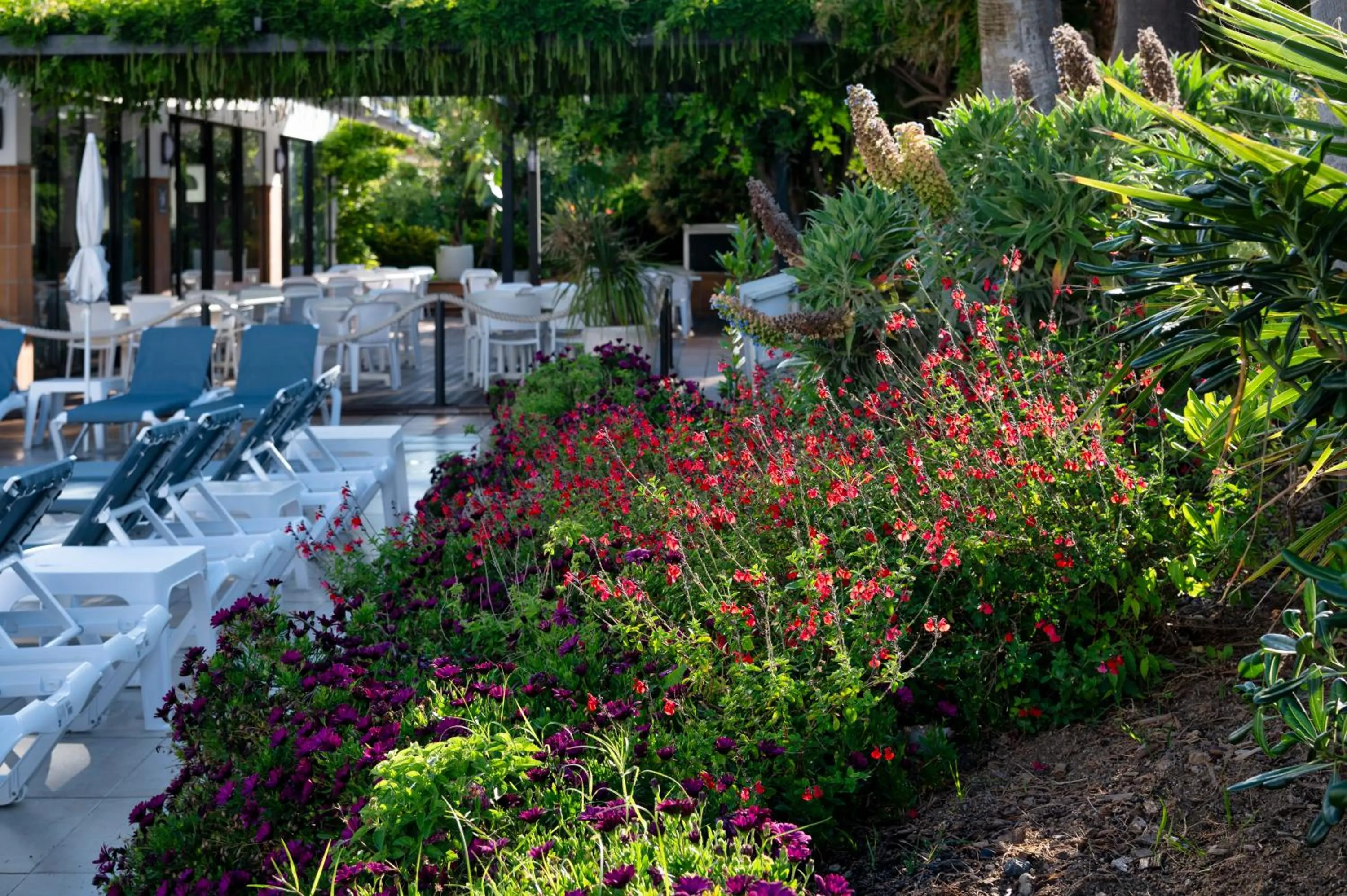 Garden in AQUA Hotel Aquamarina & Spa