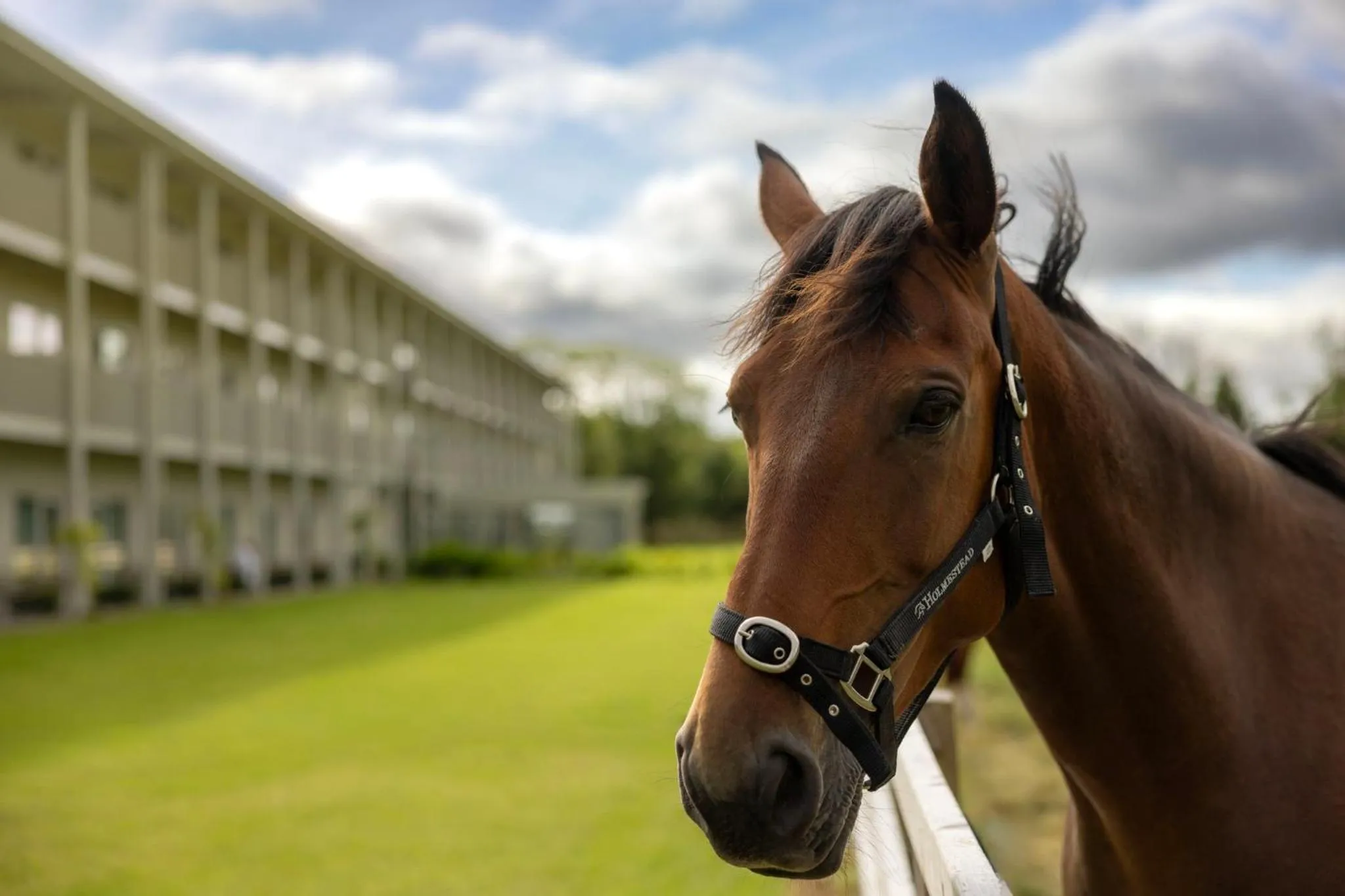 Property building in voco The Club - Dublin Gateway by IHG