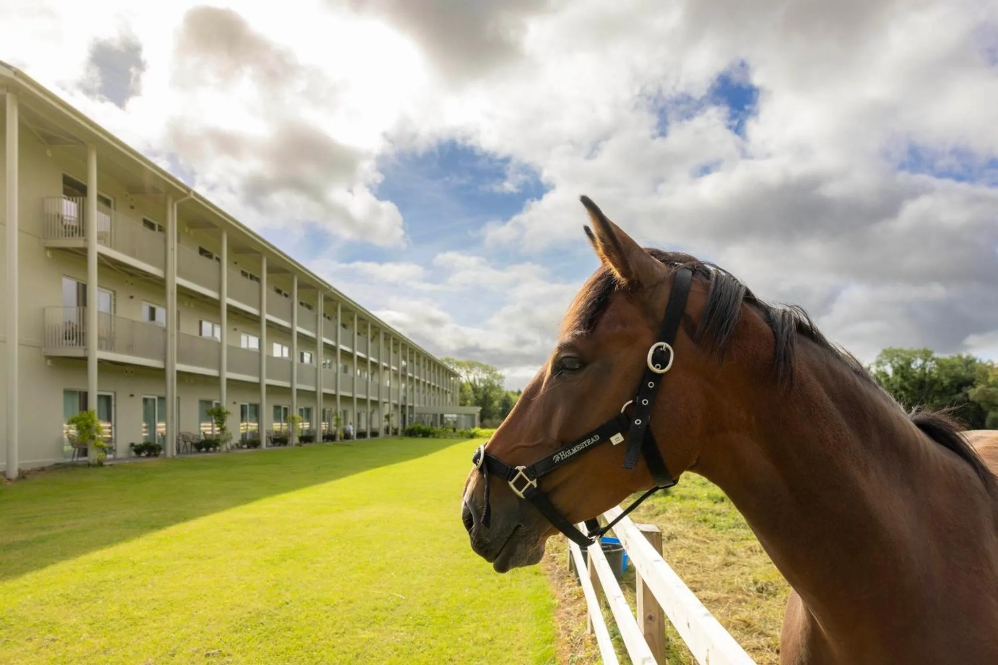 Property building in voco The Club - Dublin Gateway by IHG