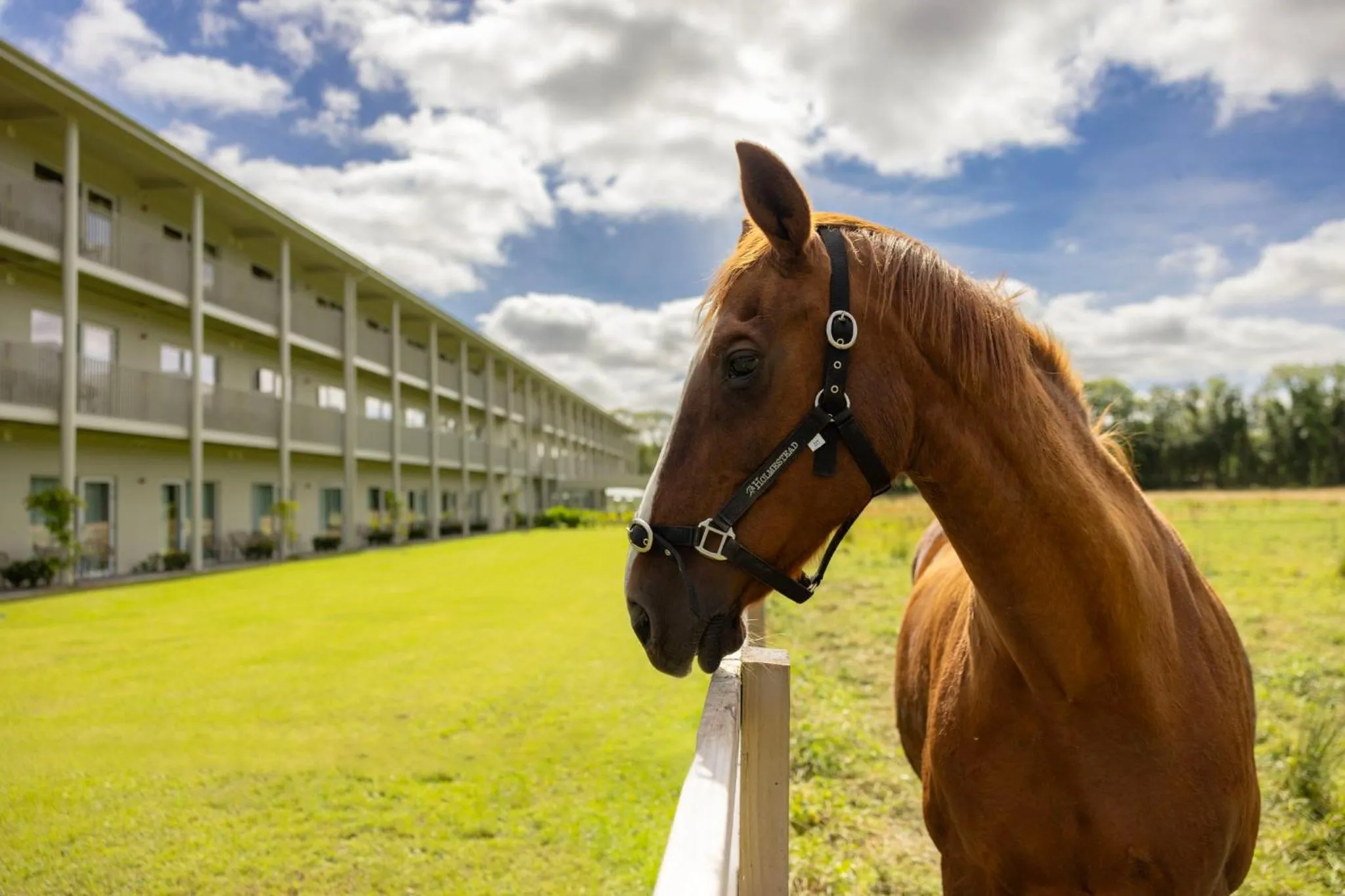 Property building in voco The Club - Dublin Gateway by IHG