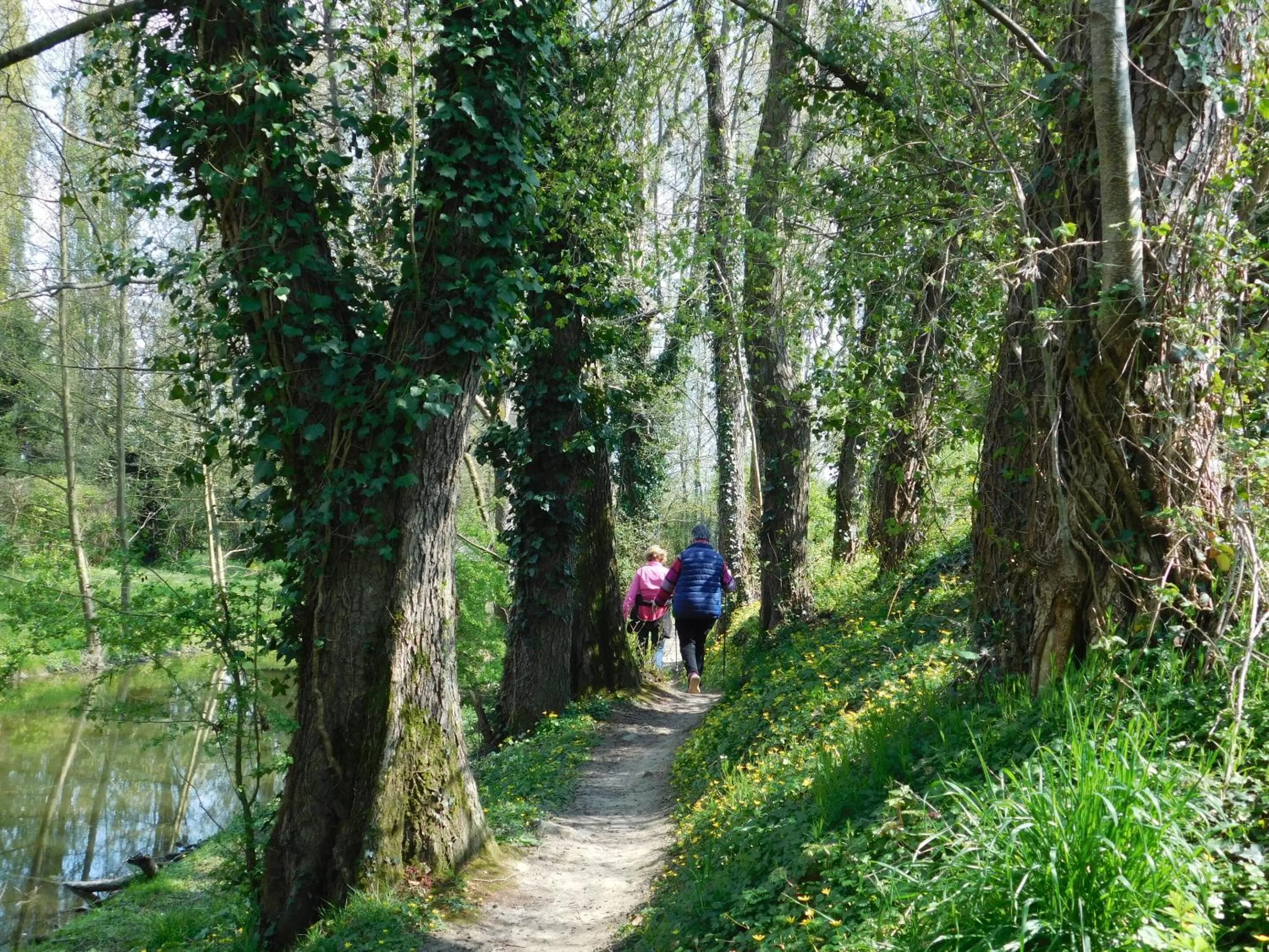 Property building in Village de Gîtes de La Chesnaie