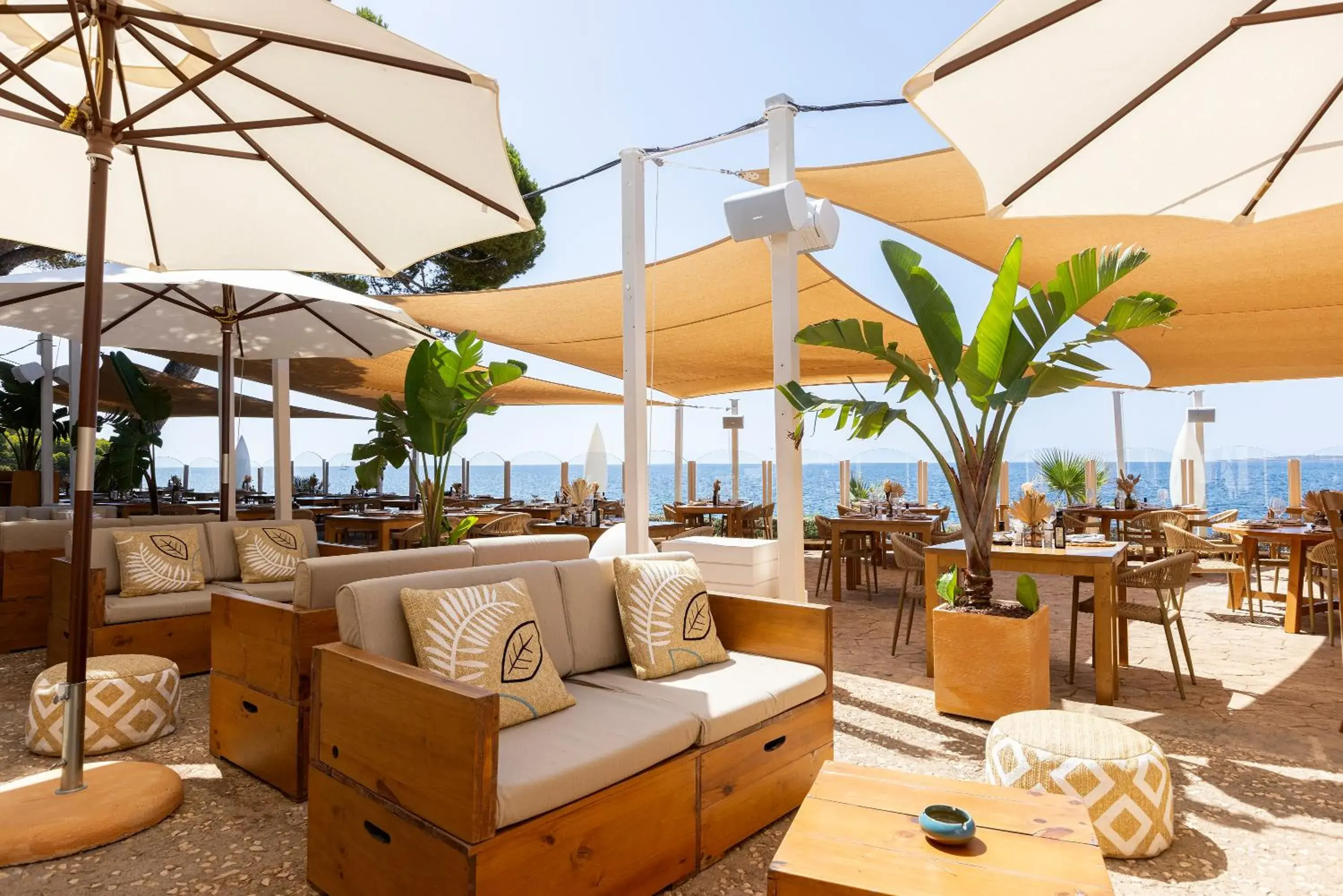 Restaurant/places to eat in Hipotels Eurotel Punta Rotja Spa-Golf Restaurant/places to eat in Hipotels Eurotel Punta Rotja Spa-Golf