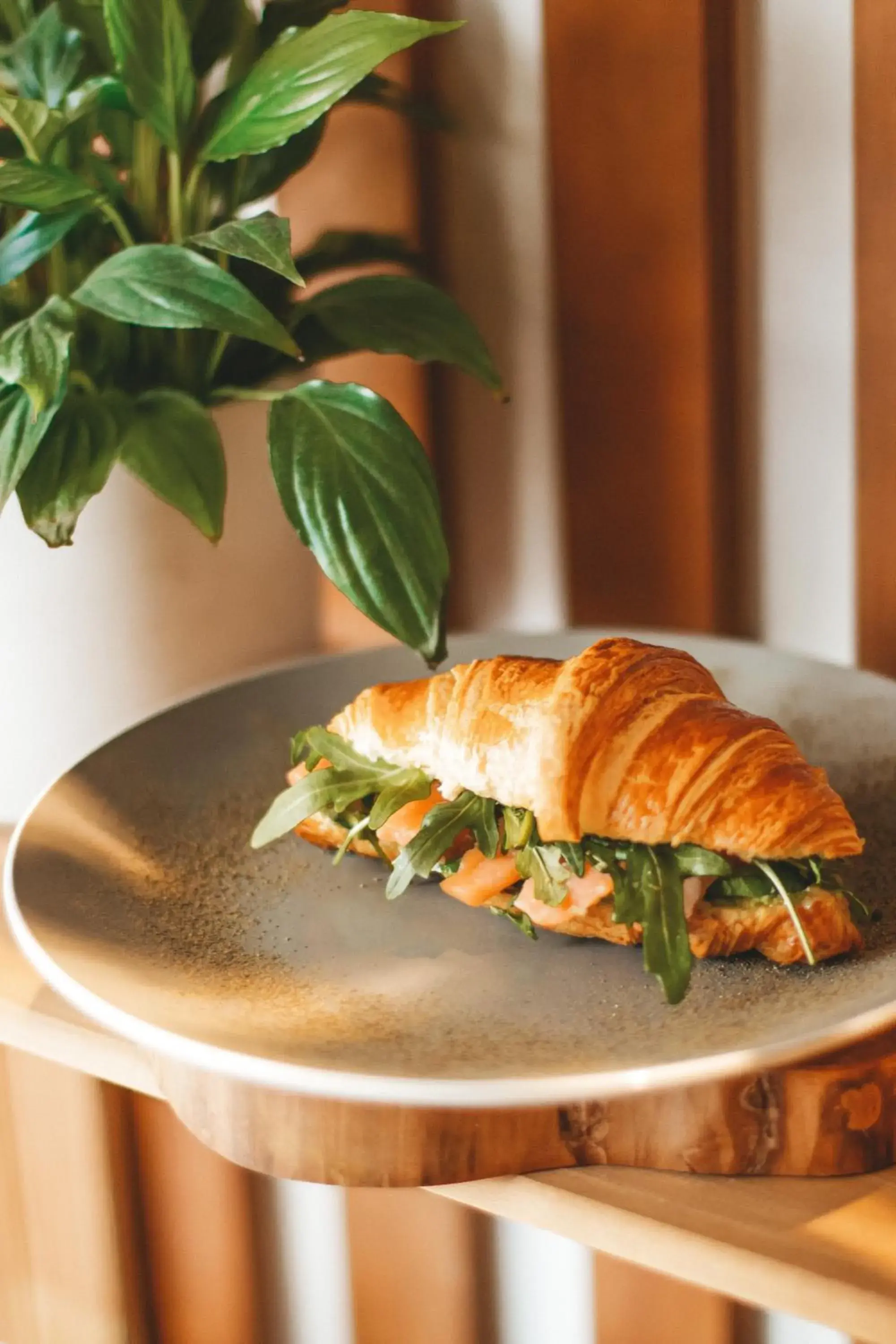 Food and drinks in The Carmen Hotel - Ocean Front Food and drinks in The Carmen Hotel - Ocean Front