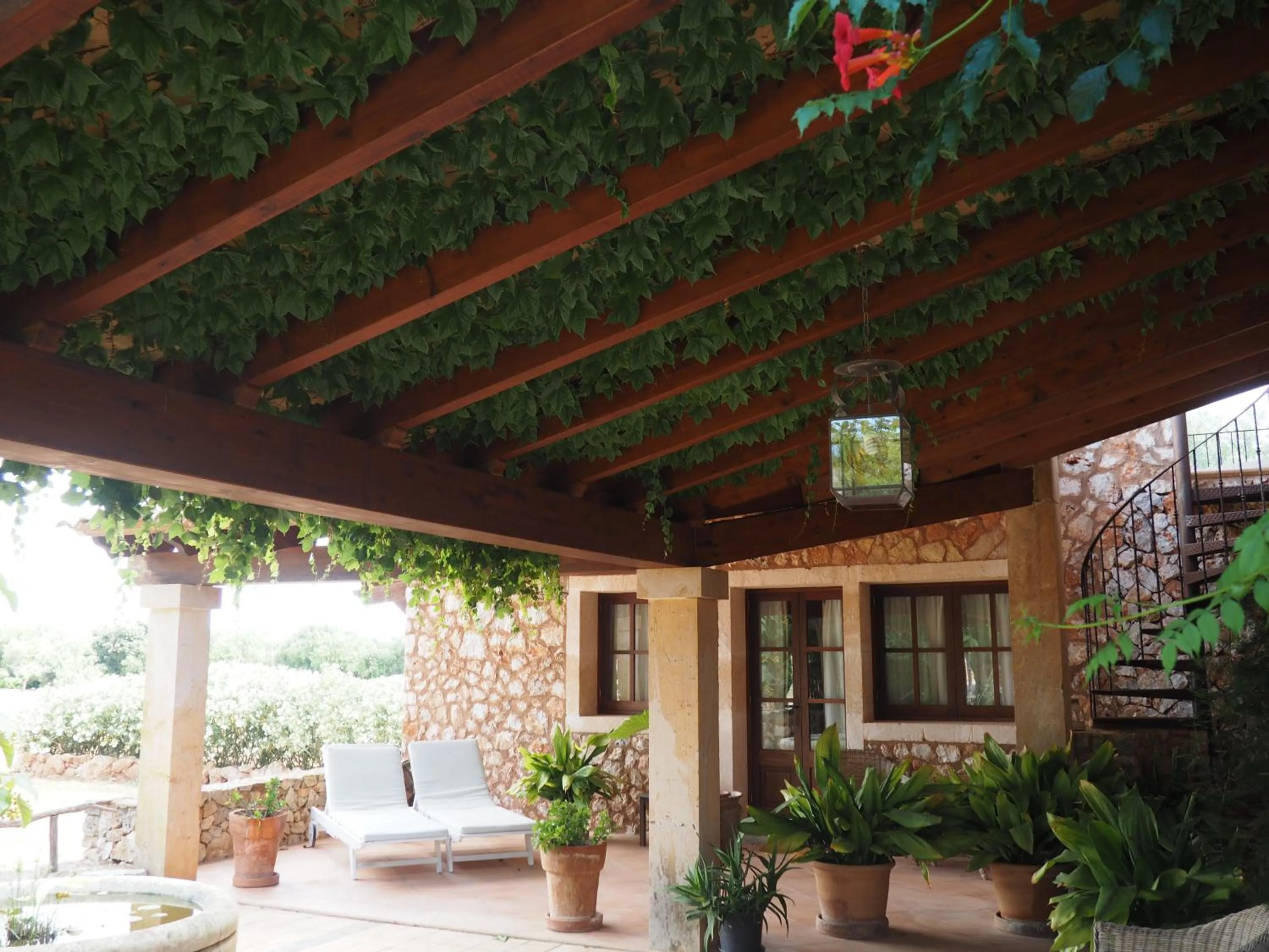 Balcony/Terrace in Son Mercadal