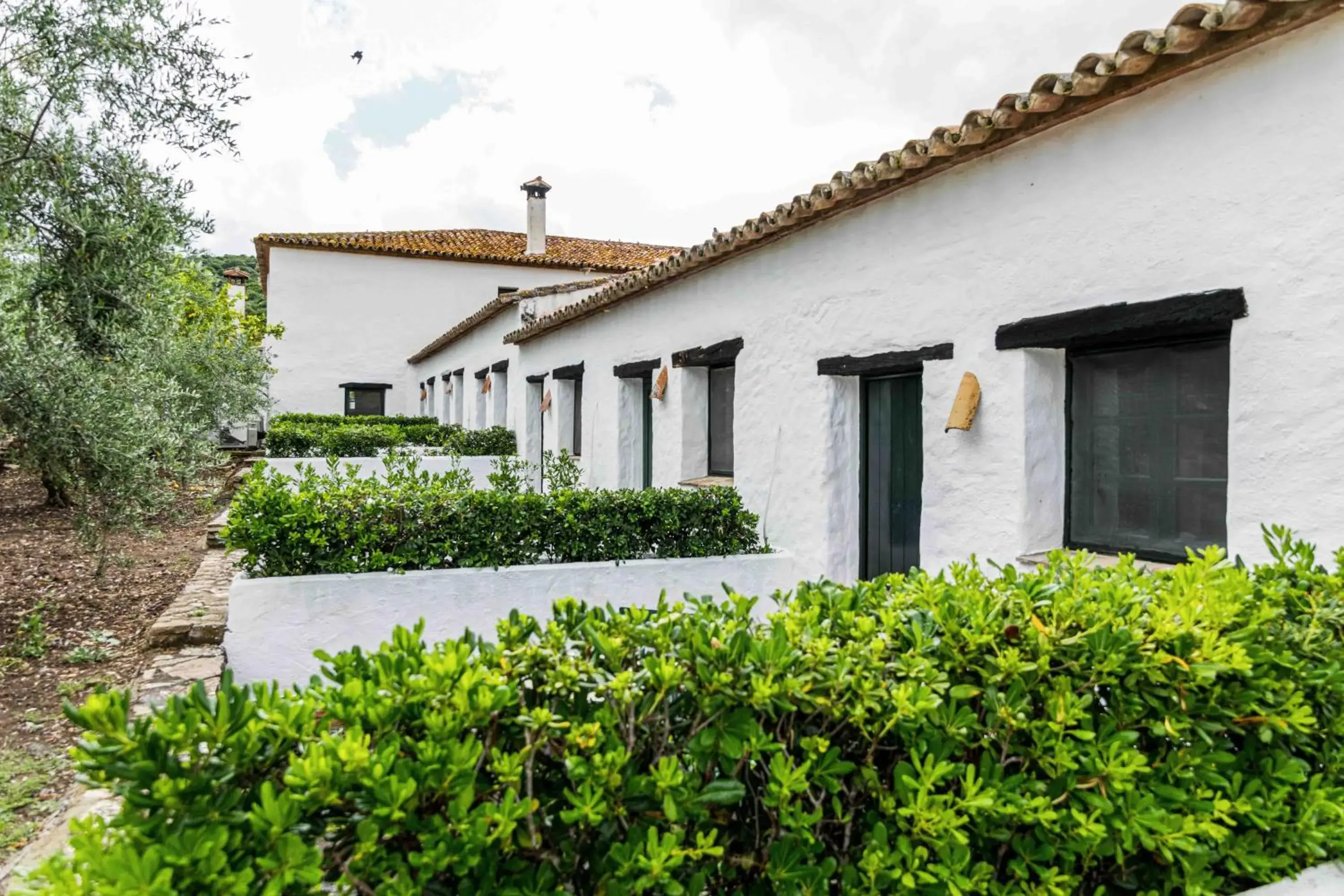Superior Double Room with Terrace in Hotel Rural El Horcajo de Ronda Superior Double Room with Terrace in Hotel Rural El Horcajo de Ronda