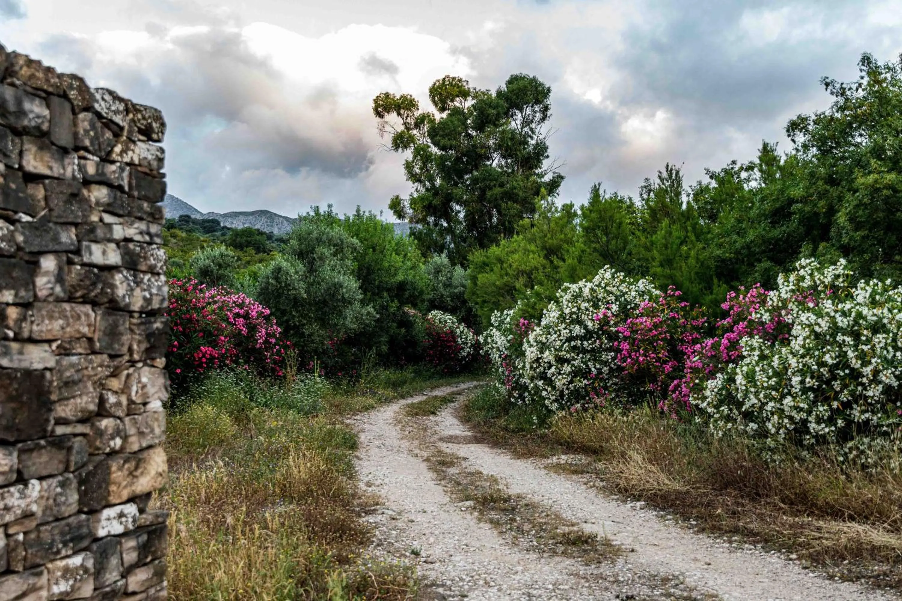 Natural landscape in Hotel Rural El Horcajo de Ronda