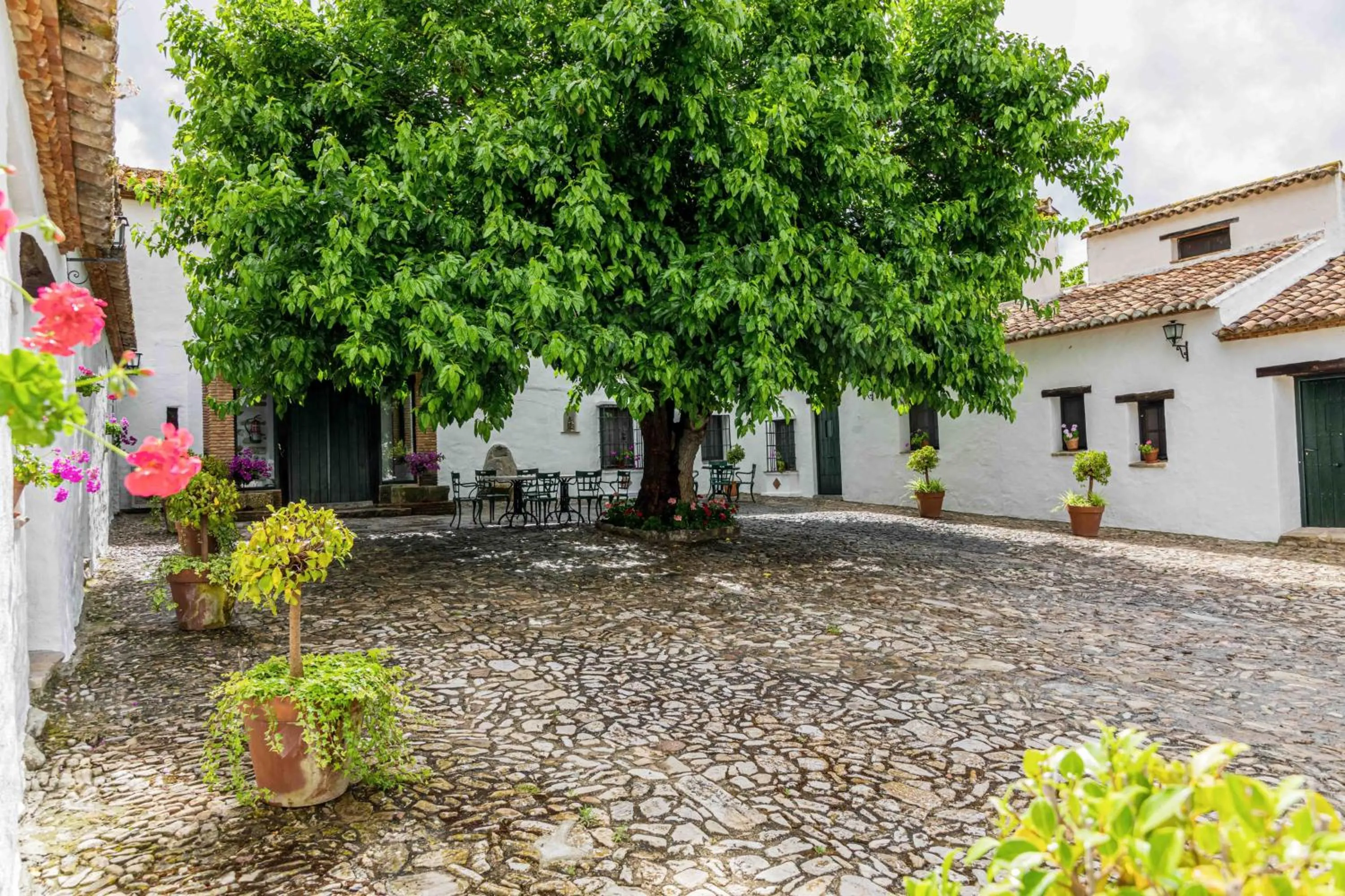 Property building in Hotel Rural El Horcajo de Ronda