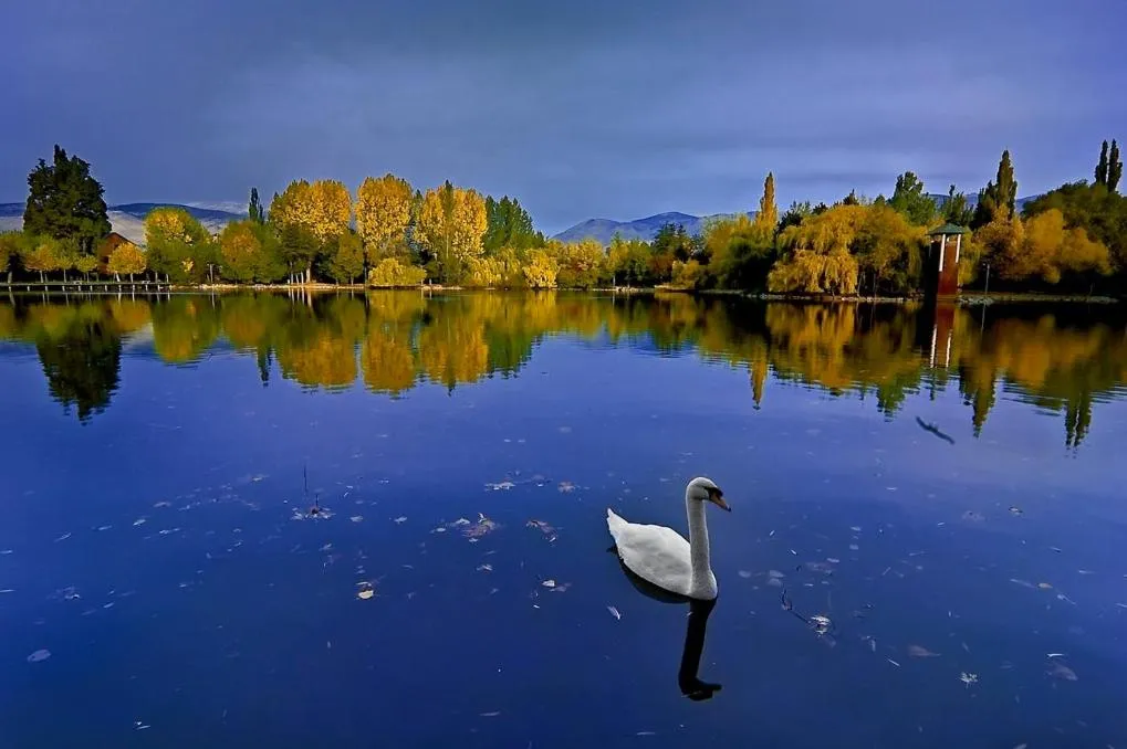 Off site in Hotel Del Lago