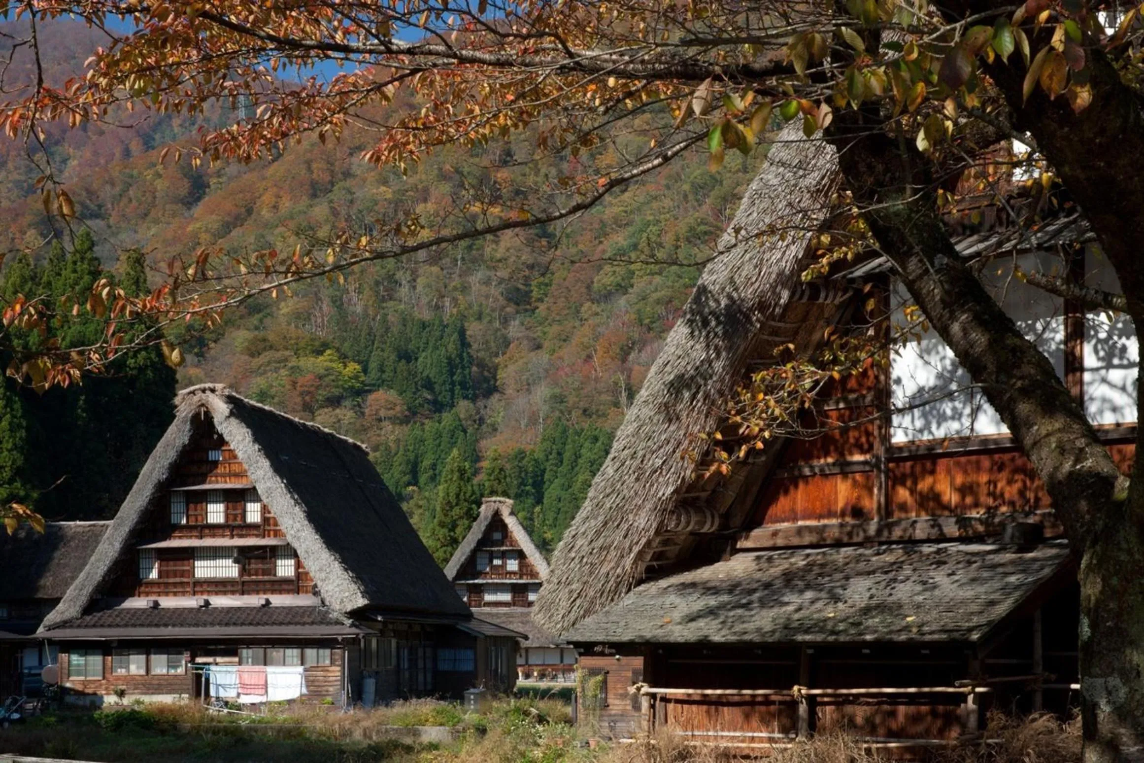 Nearby landmark in HOTEL VISCHIO TOYAMA