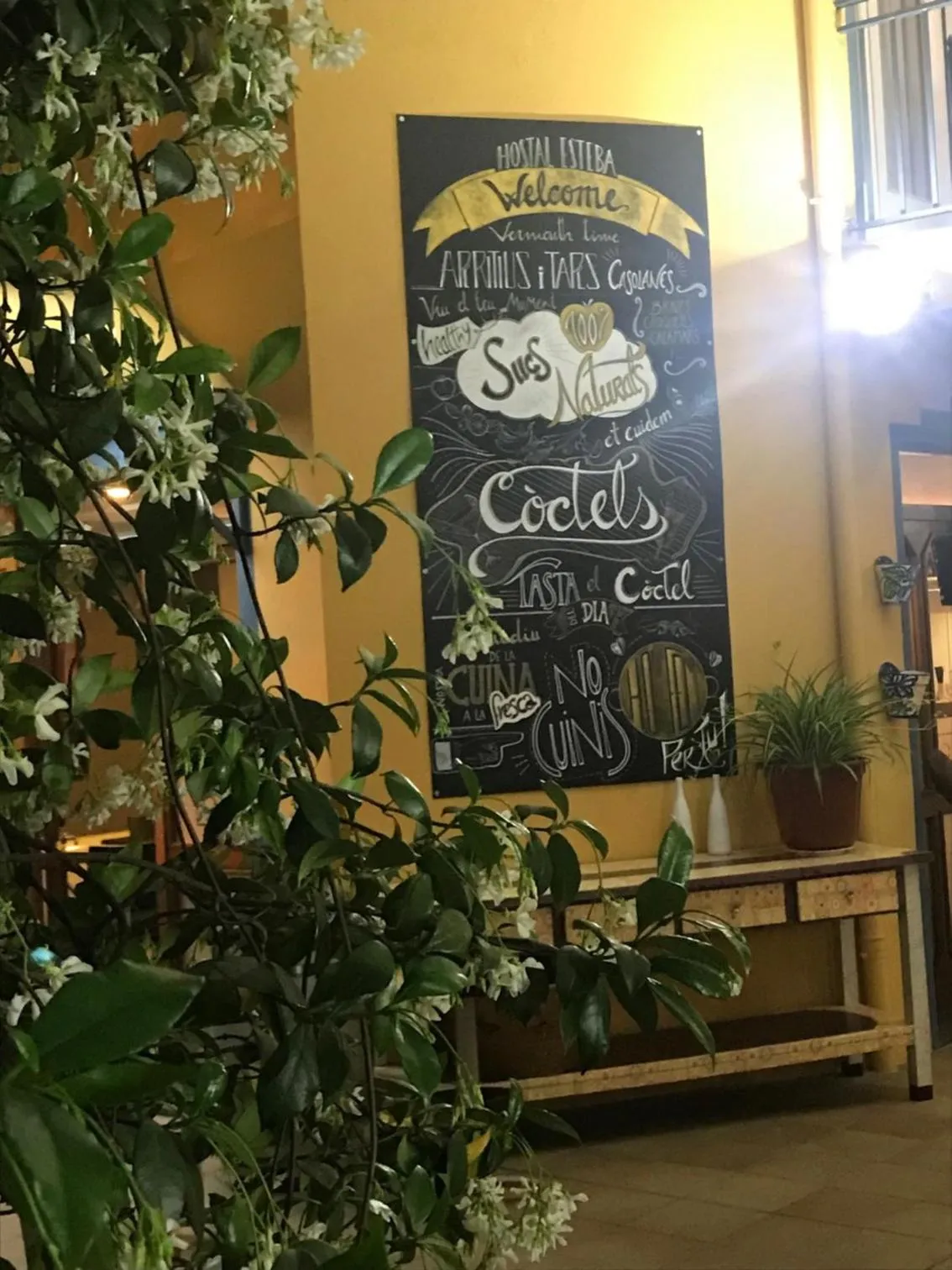 Balcony/Terrace in Hotel Esteba