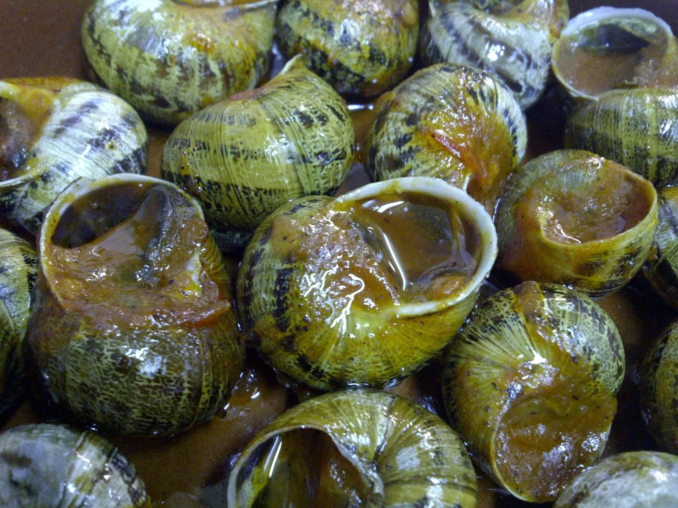 Restaurant/places to eat in Hotel Esteba