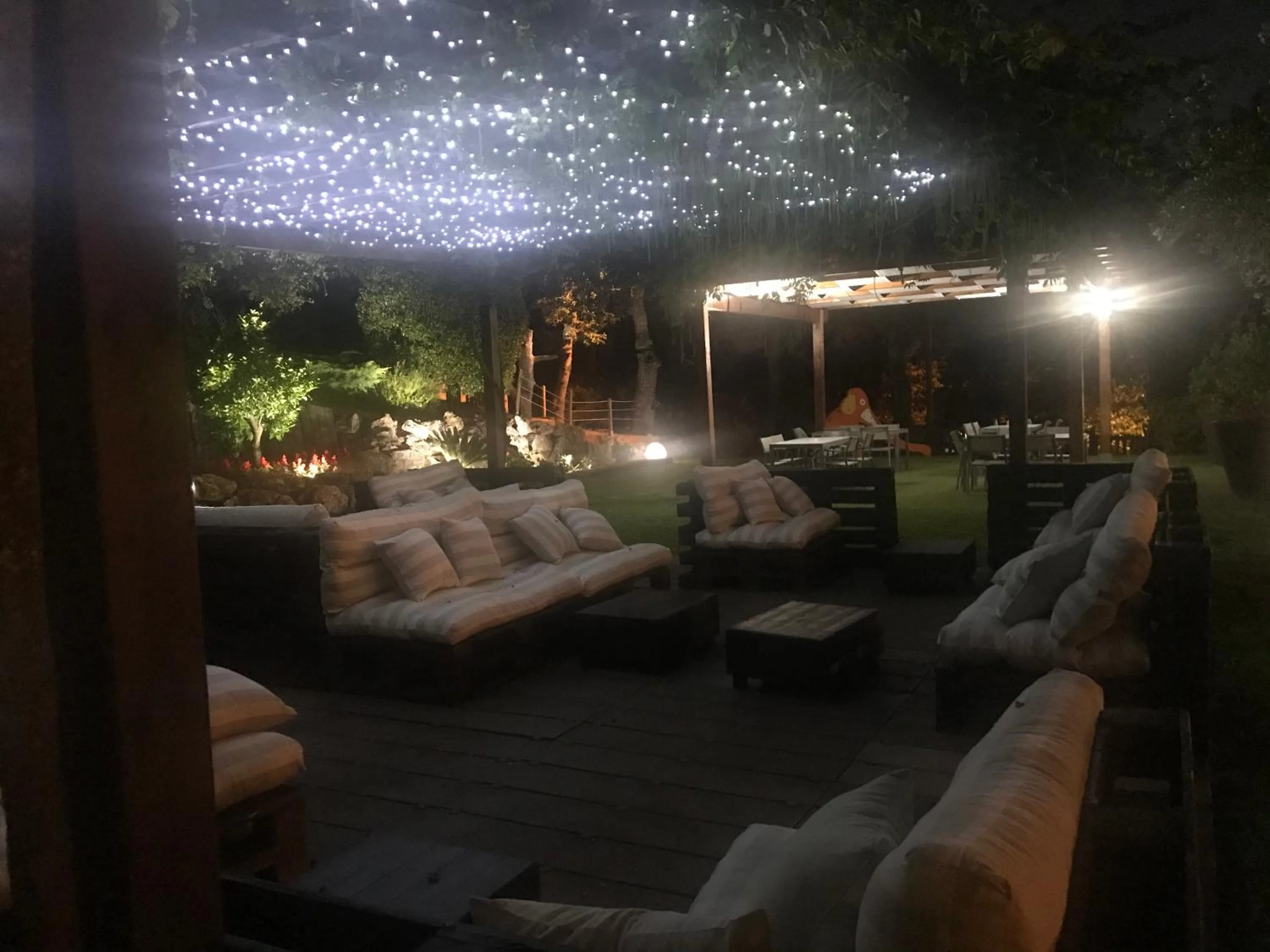 Garden in Hotel Esteba