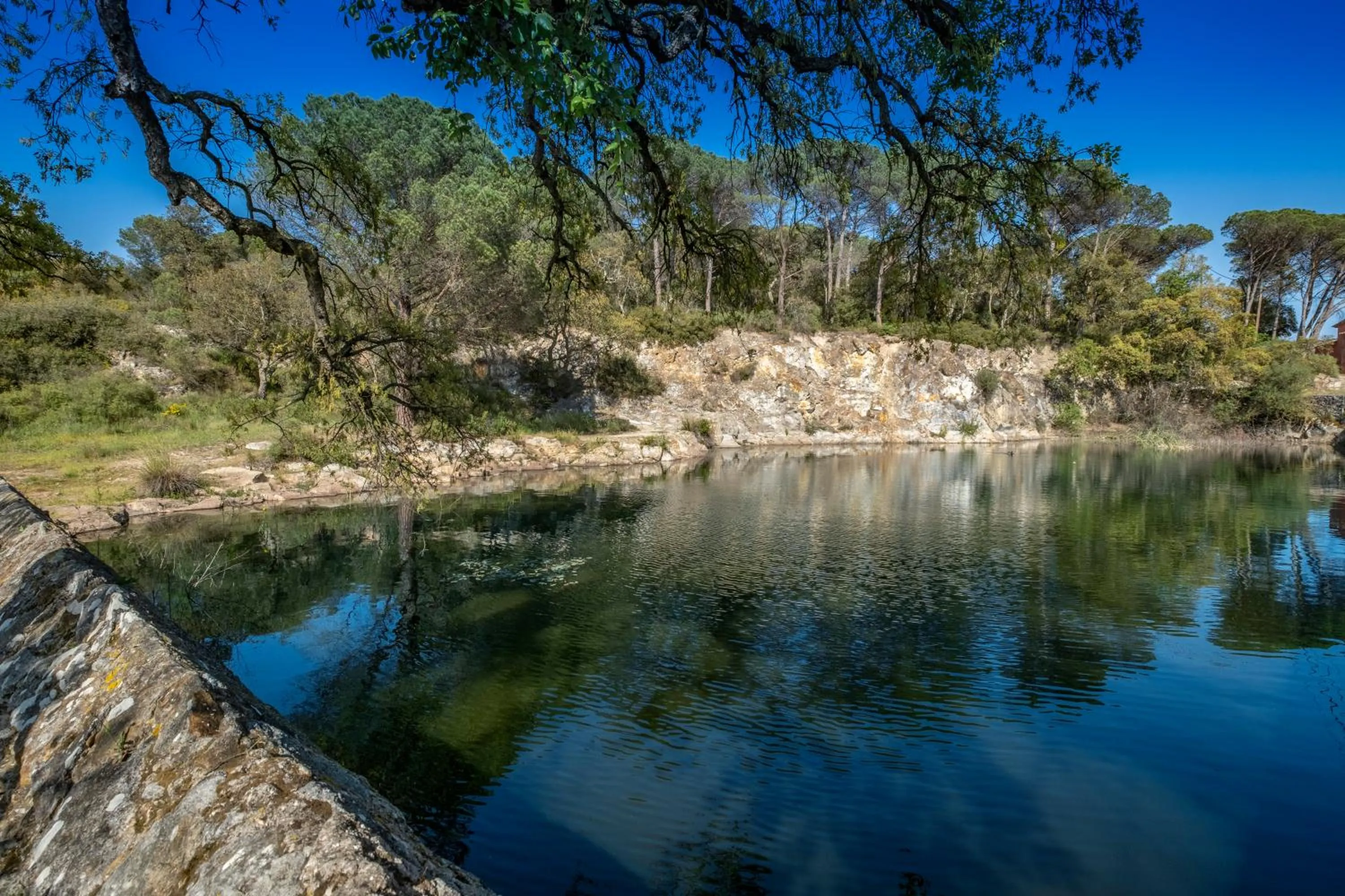 Natural landscape in Hotel Esteba