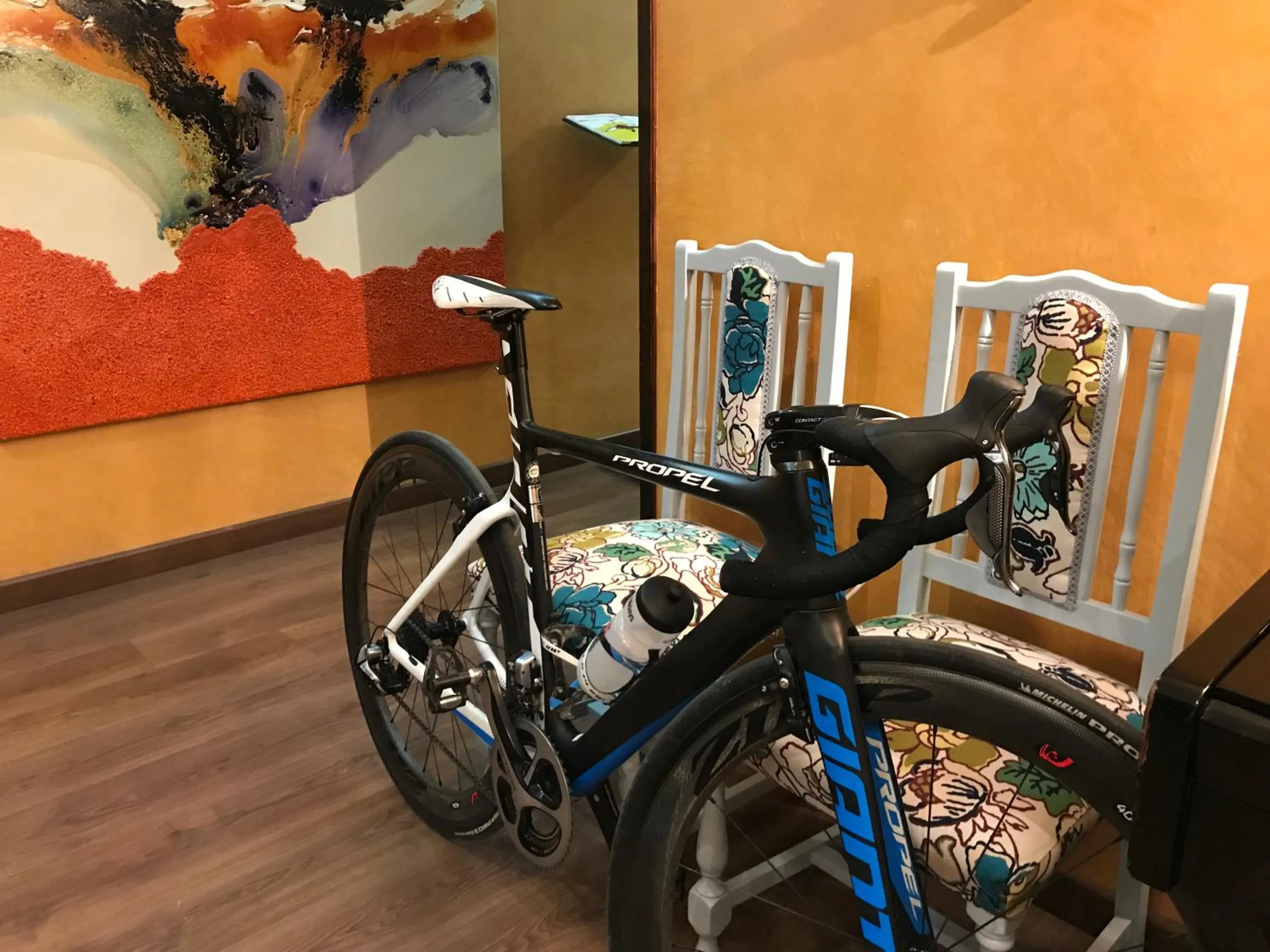 Activities in Hotel Esteba