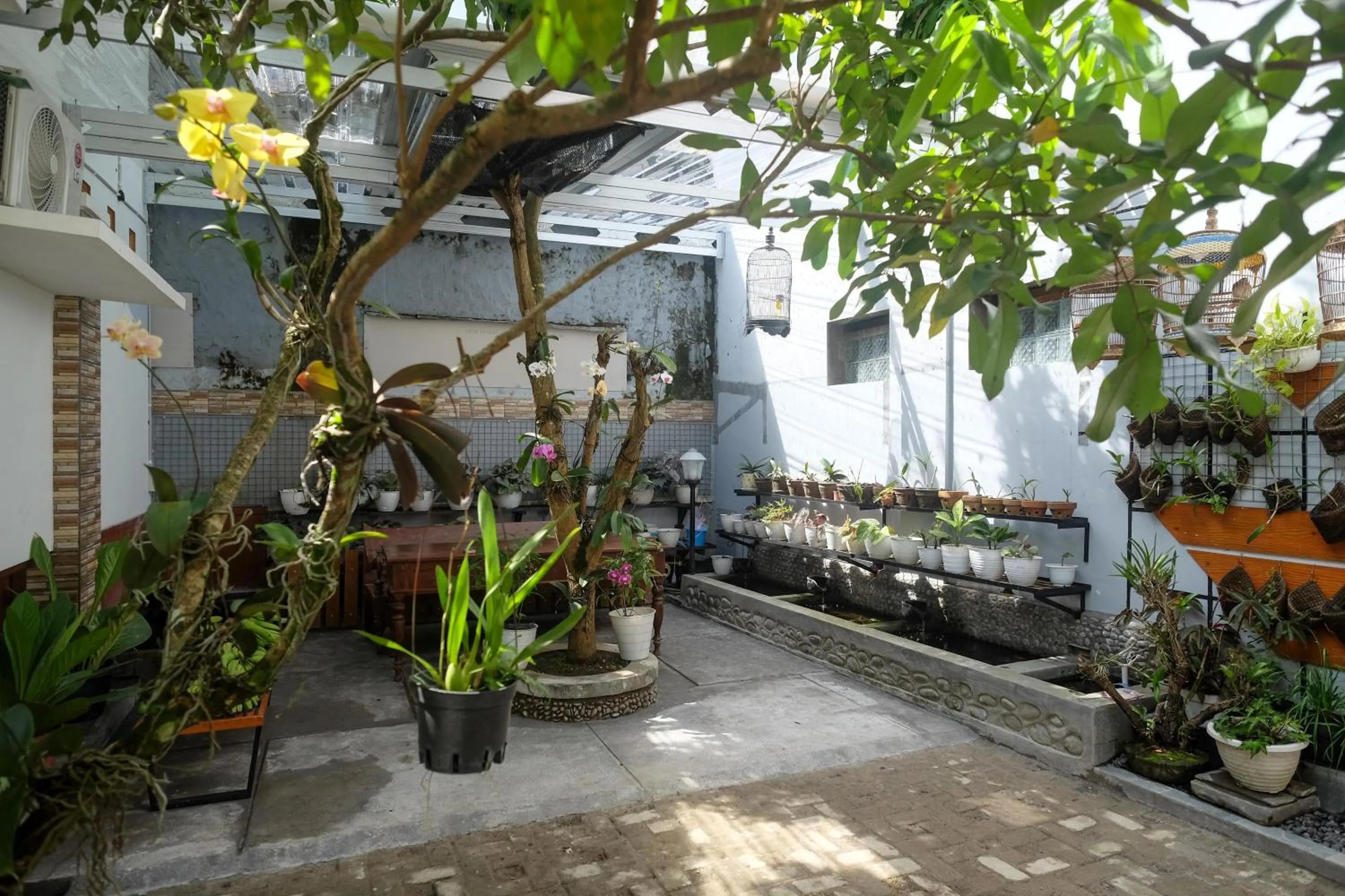 Garden in RedDoorz Syariah near Kampus UNSOED Purwokerto