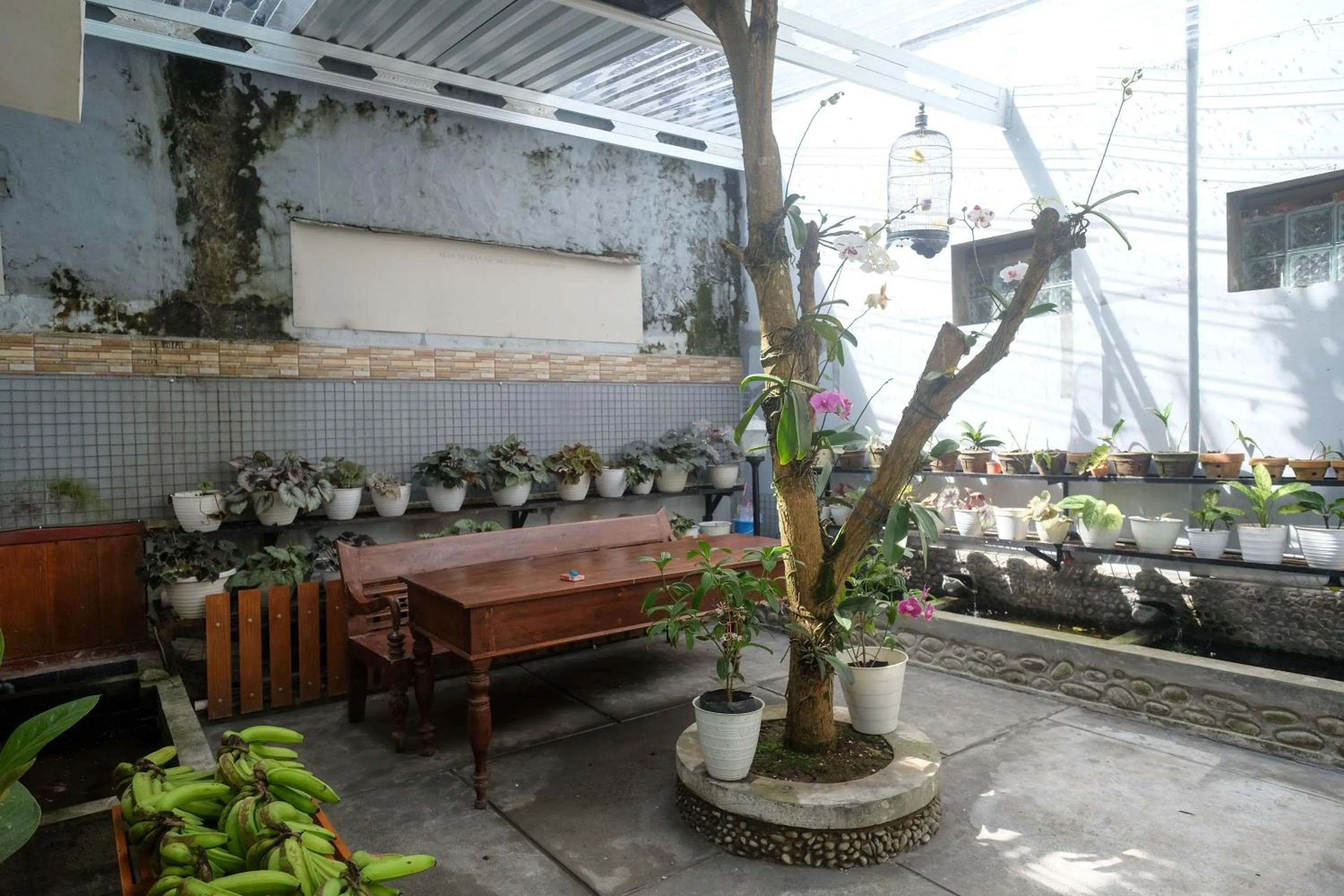 Garden in RedDoorz Syariah near Kampus UNSOED Purwokerto